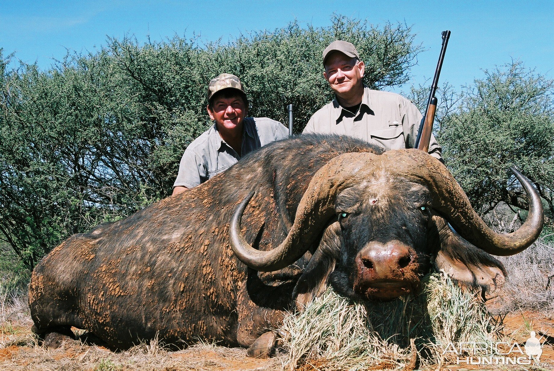 Hunting Buffalo with Wintershoek Johnny Vivier Safaris in SA