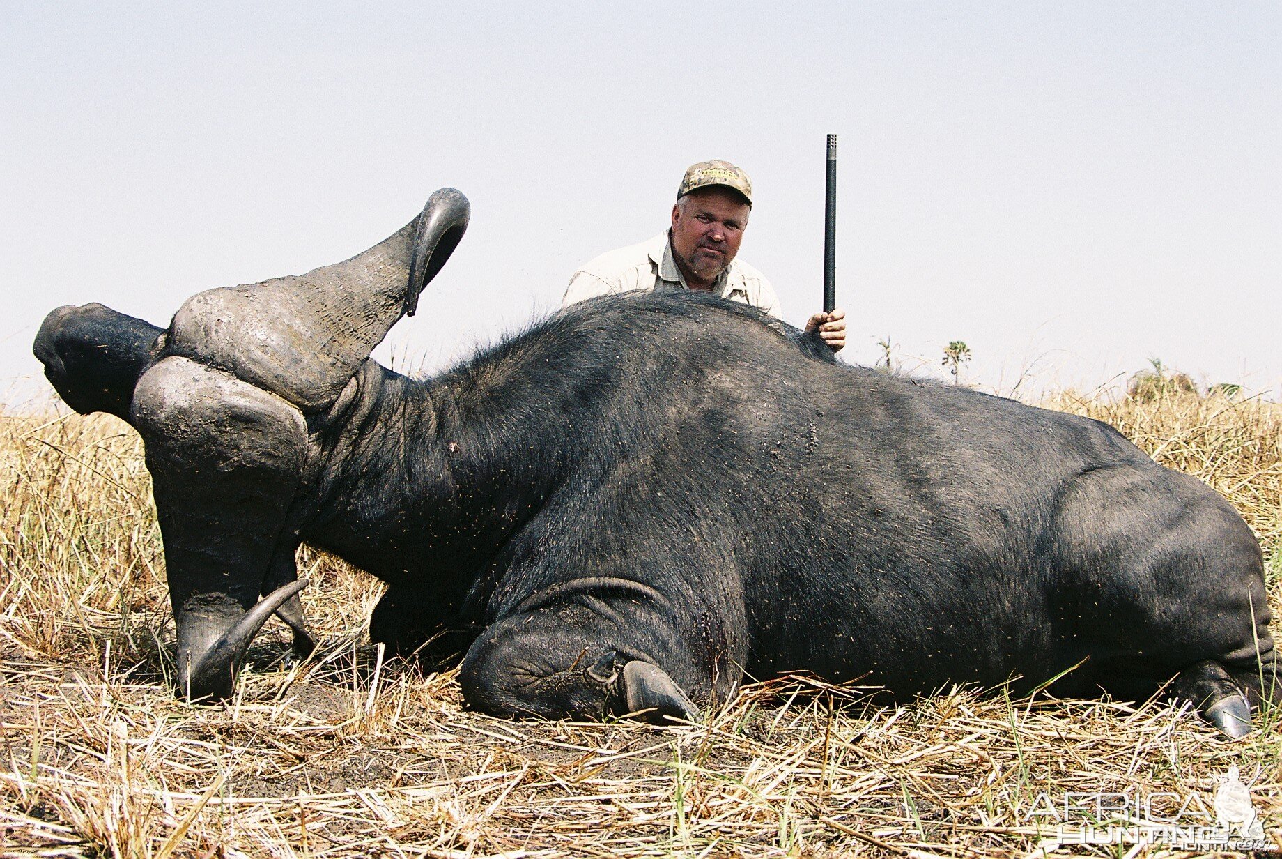 Hunting Buffalo with Wintershoek Johnny Vivier Safaris in SA