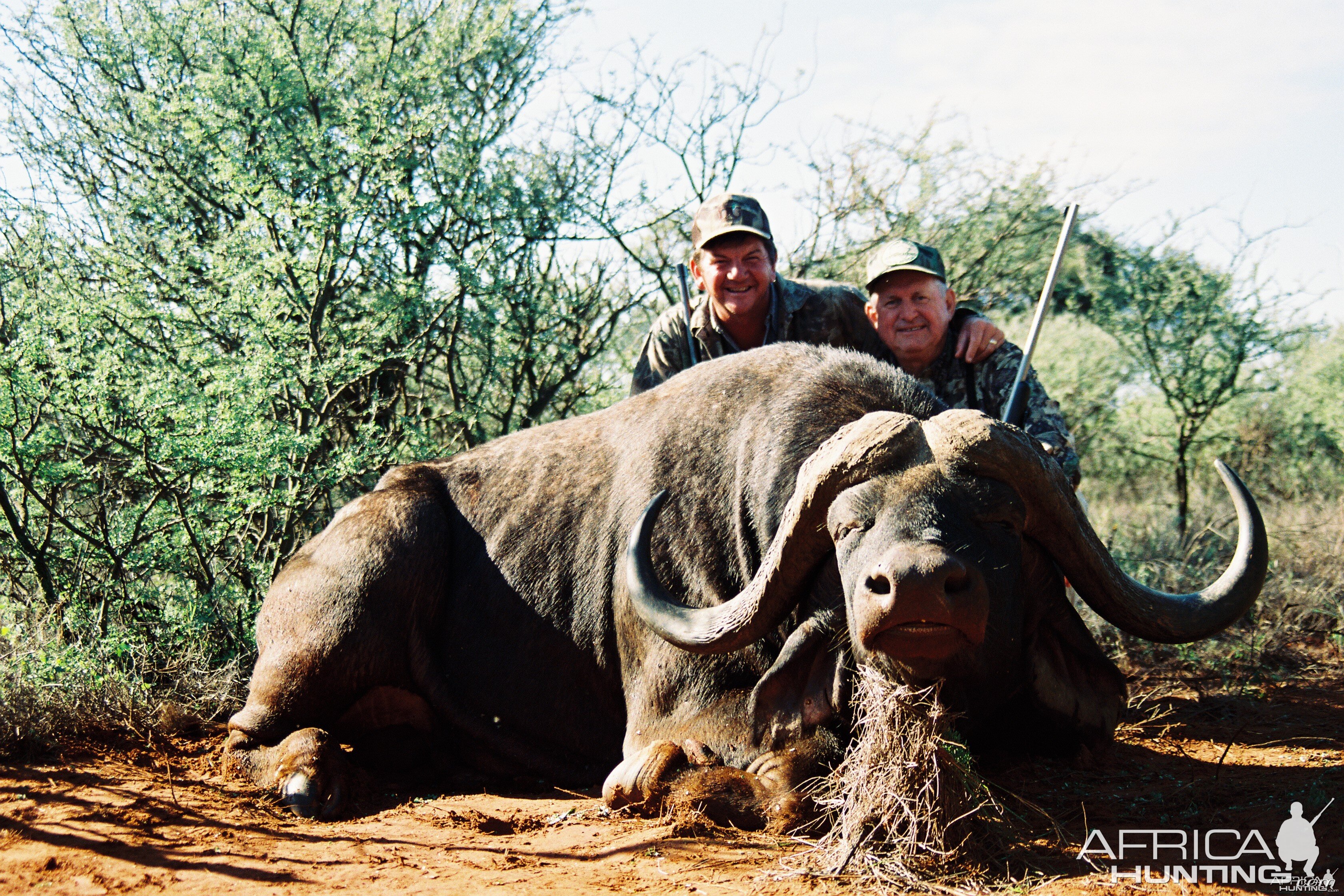 Hunting Buffalo with Wintershoek Johnny Vivier Safaris in SA