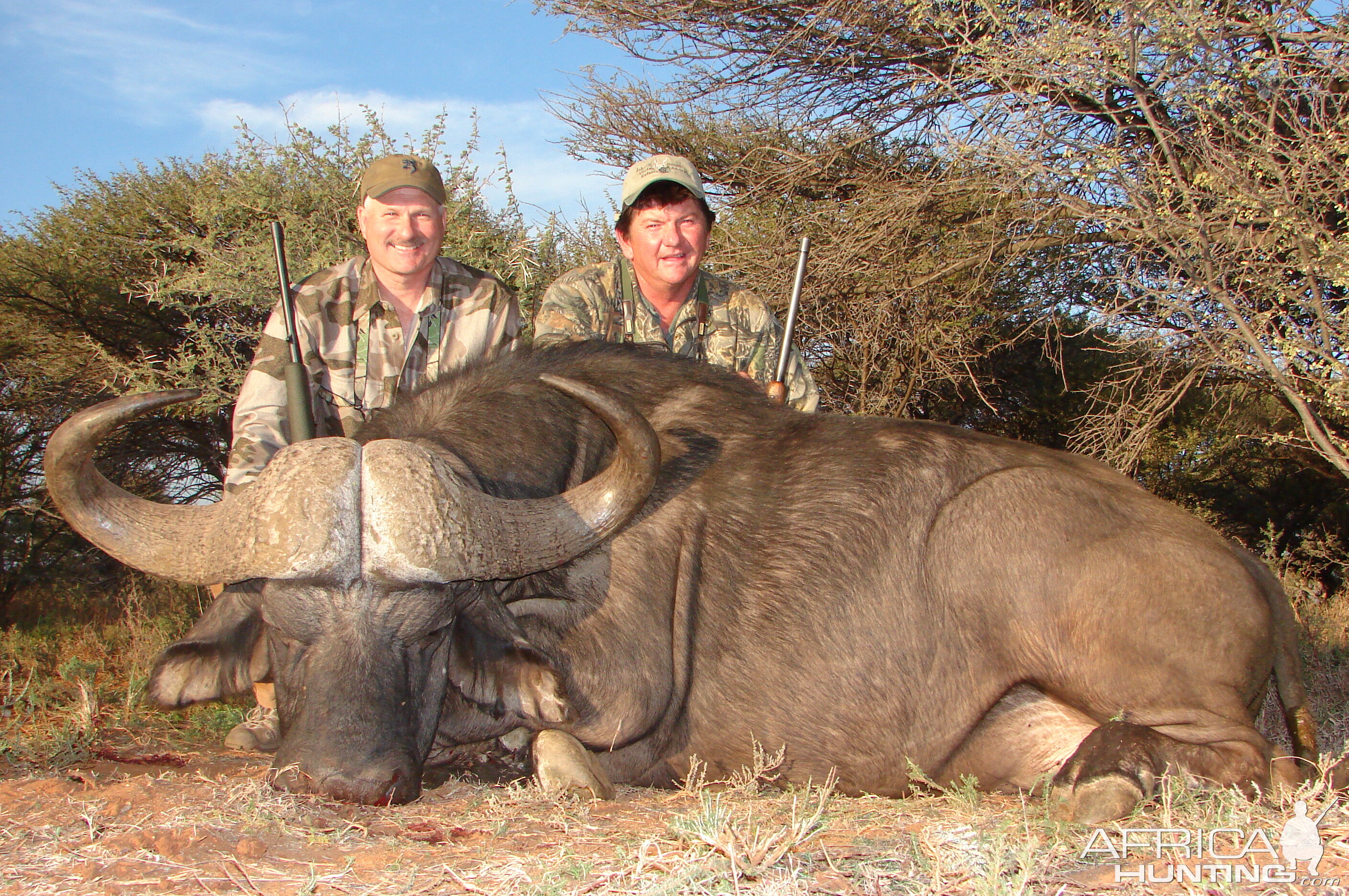 Hunting Buffalo with Wintershoek Johnny Vivier Safaris in SA