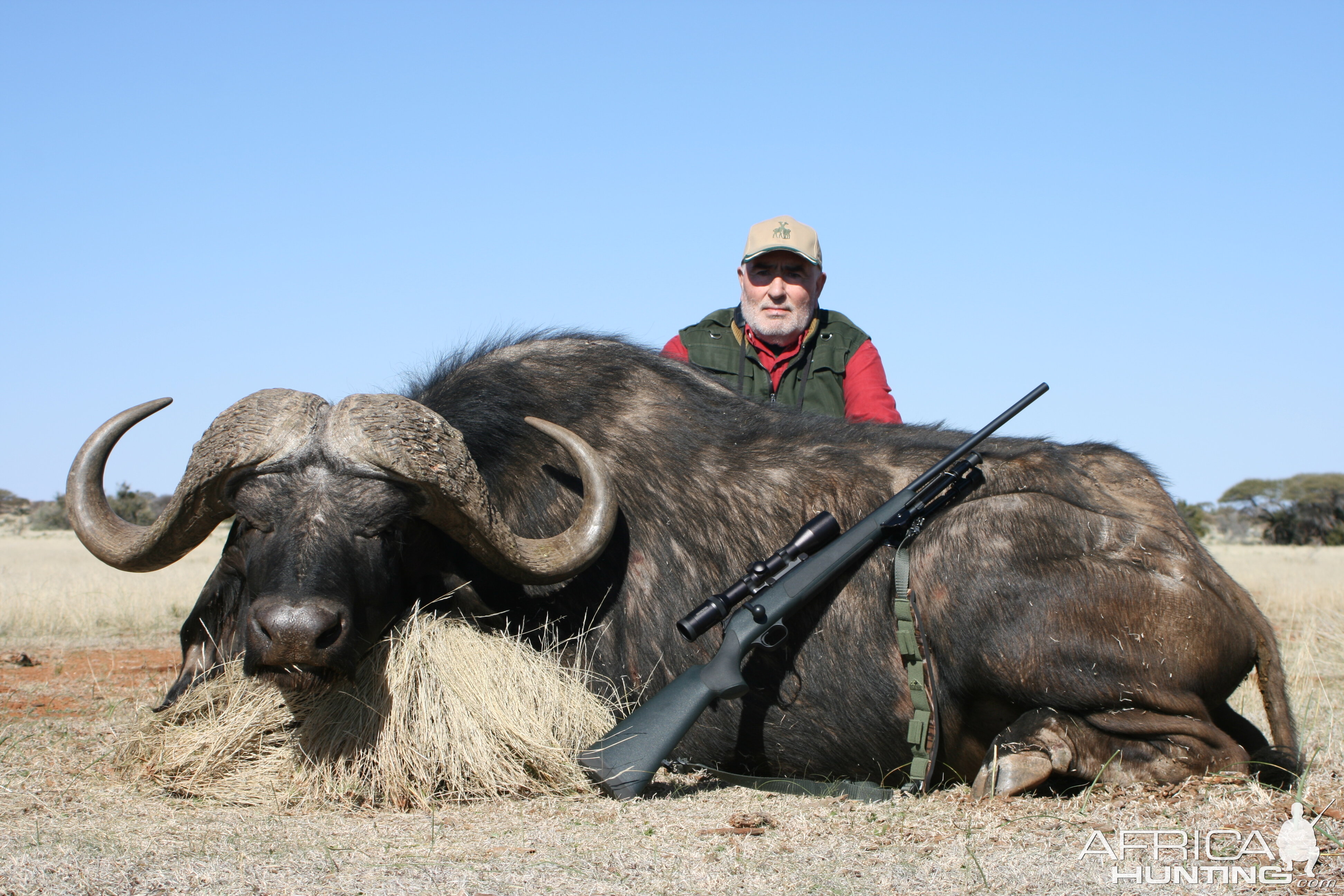 Hunting Buffalo with Wintershoek Johnny Vivier Safaris in SA