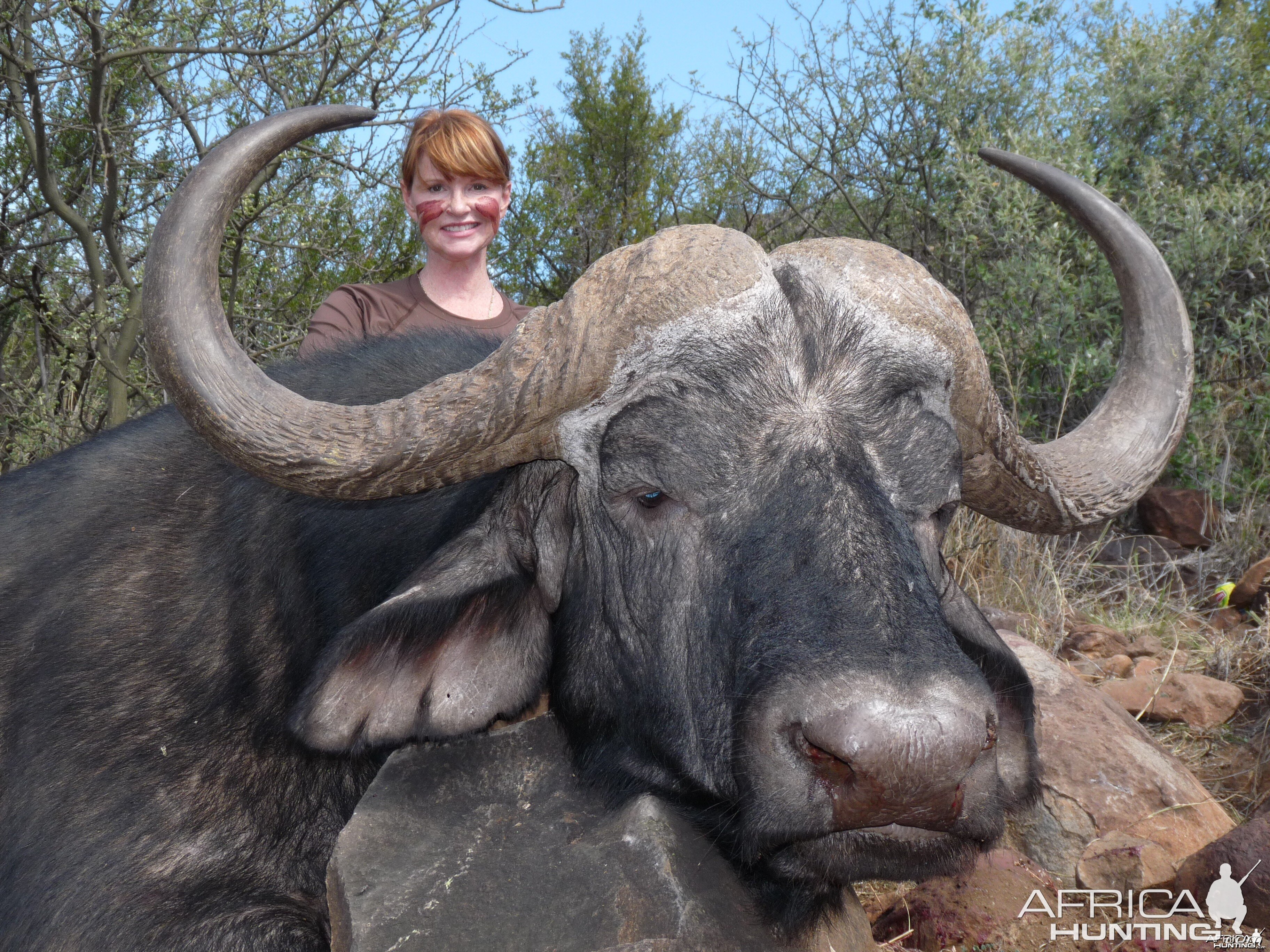 Hunting Buffalo with Wintershoek Johnny Vivier Safaris in SA