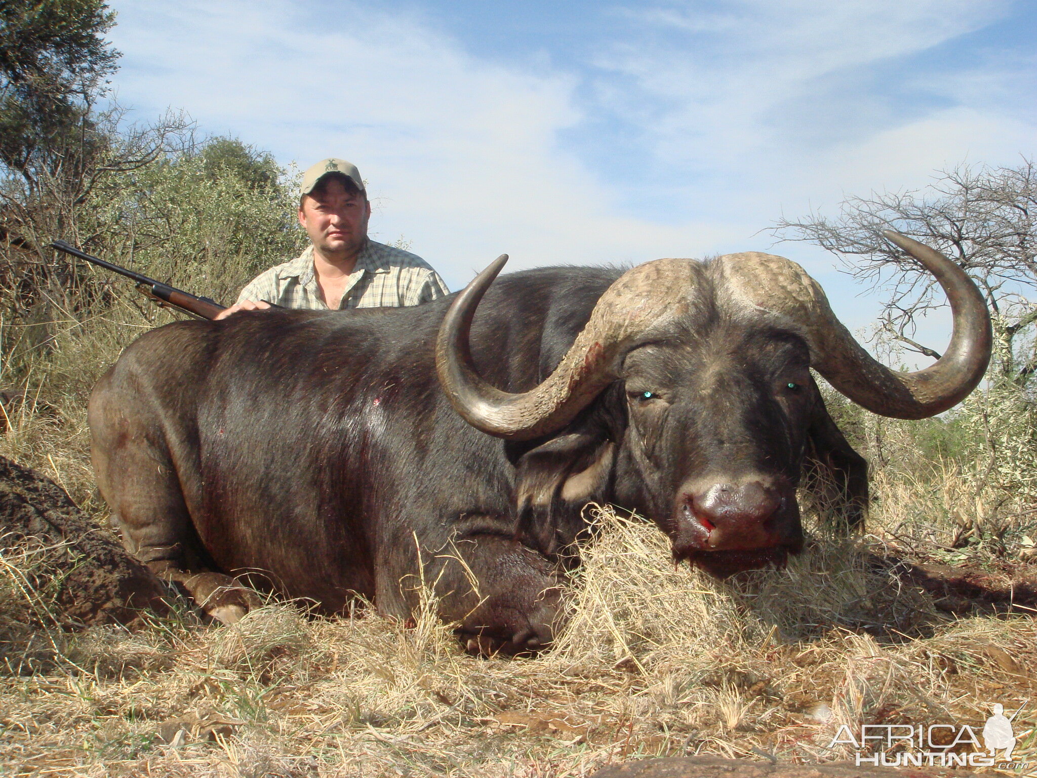 Hunting Buffalo with Wintershoek Johnny Vivier Safaris in SA