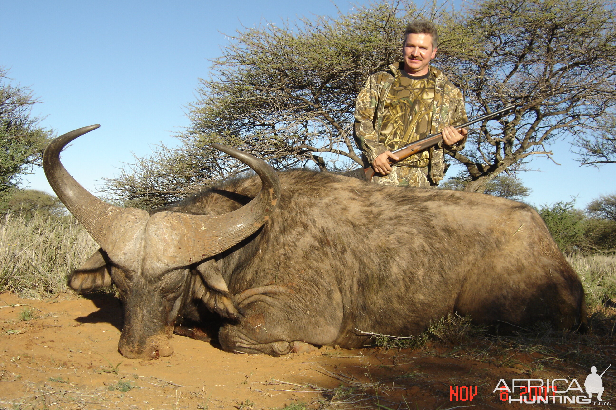 Hunting Buffalo with Wintershoek Johnny Vivier Safaris in SA