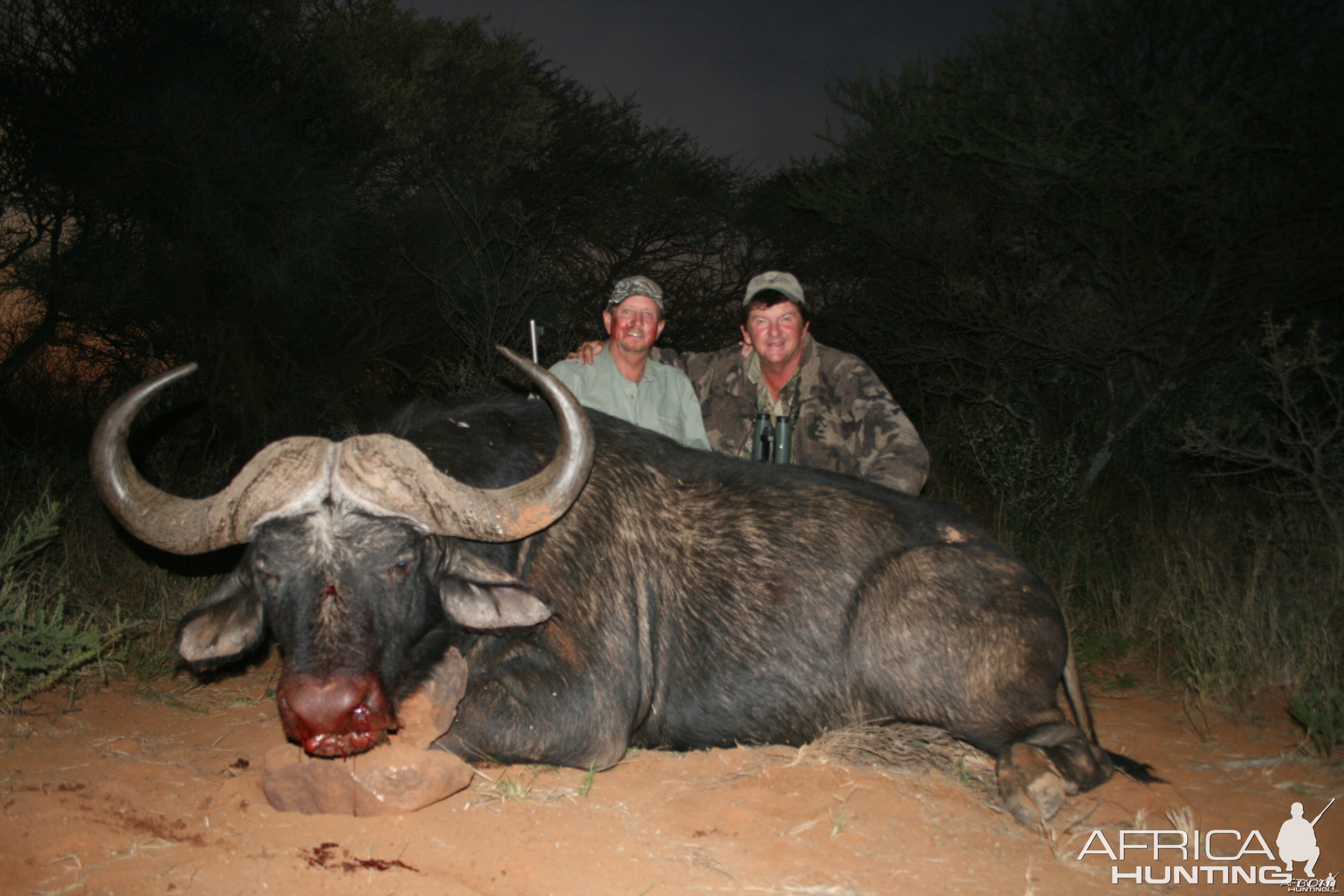 Hunting Buffalo with Wintershoek Johnny Vivier Safaris in SA