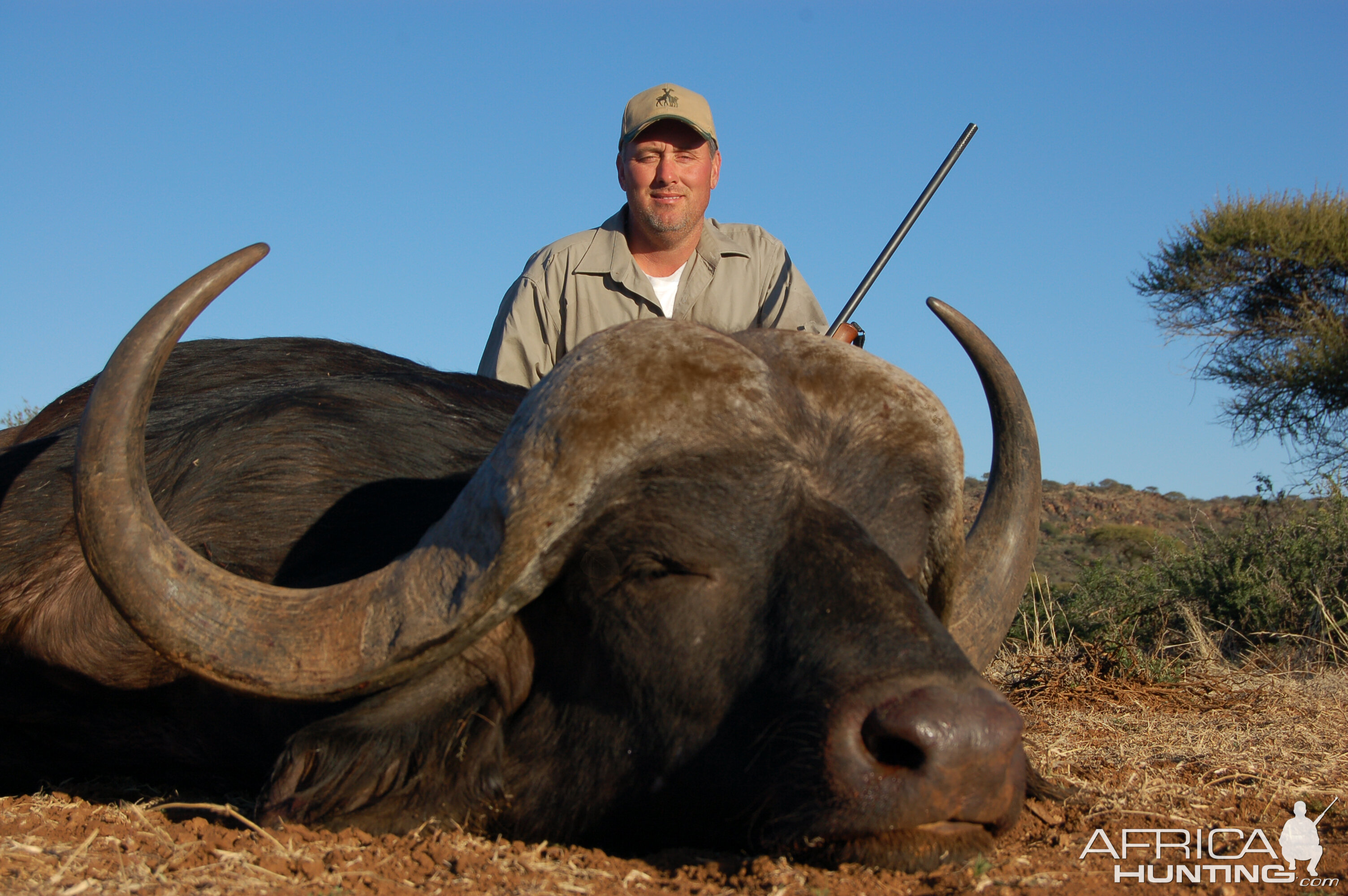 Hunting Buffalo with Wintershoek Johnny Vivier Safaris in SA