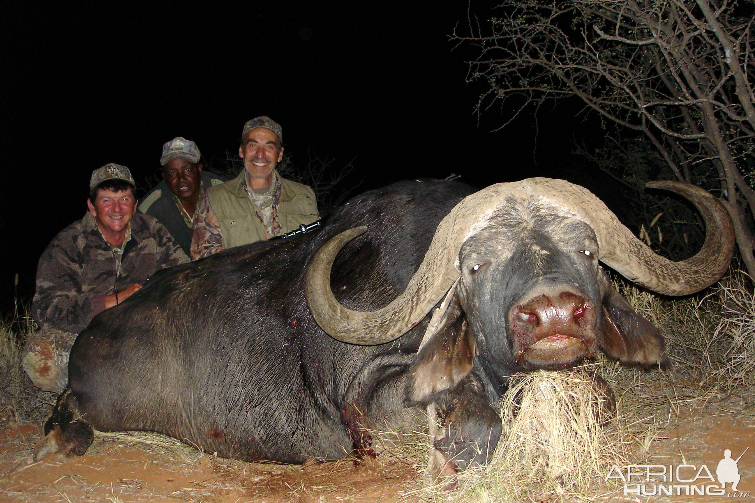 Hunting Buffalo with Wintershoek Johnny Vivier Safaris in SA