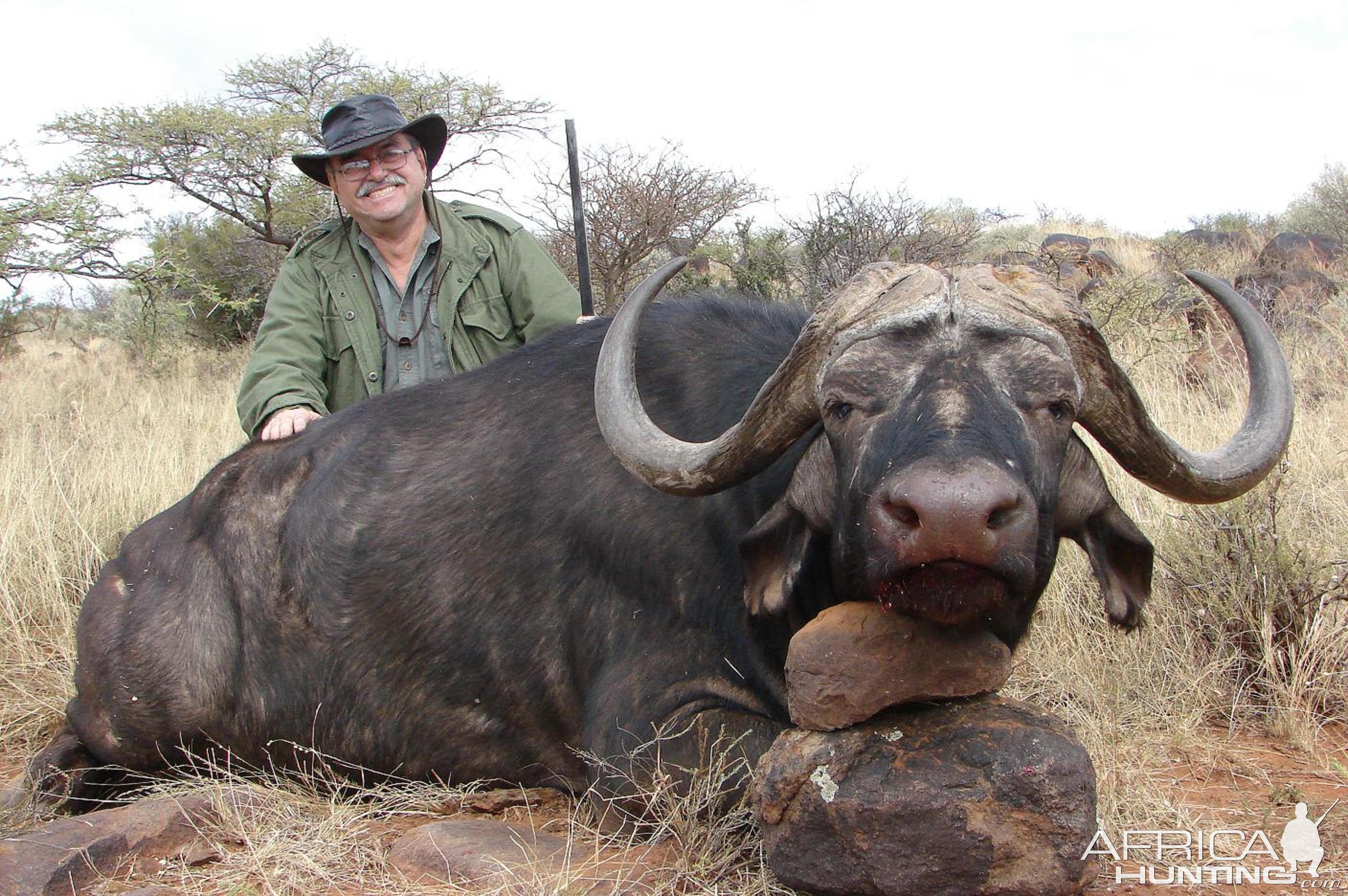 Hunting Buffalo with Wintershoek Johnny Vivier Safaris in SA