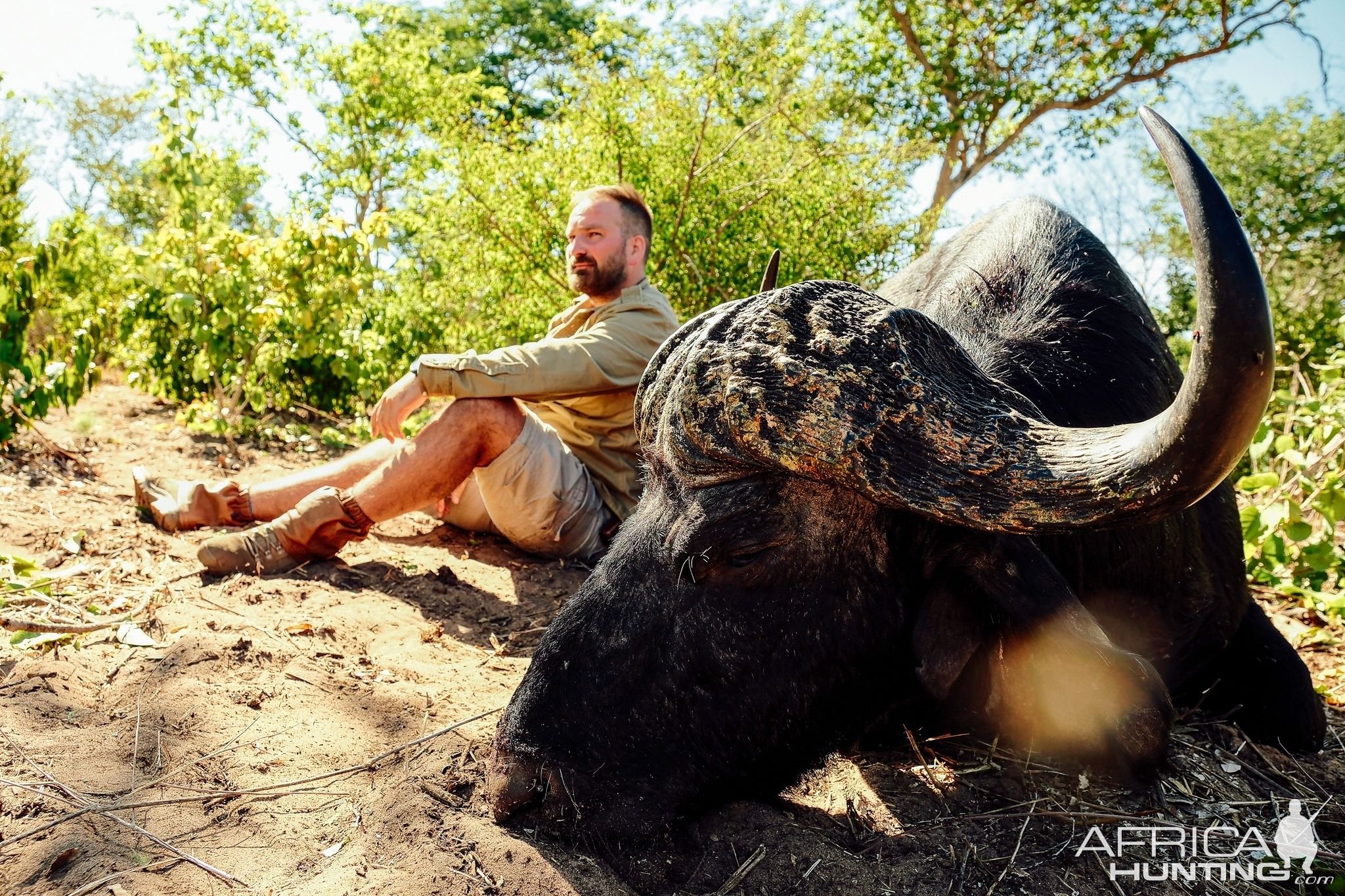 Hunting Buffalo Zimbabwe