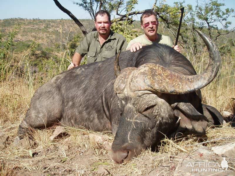 Hunting Buffalo Zimbabwe