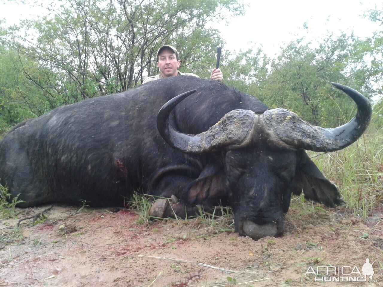 Hunting Buffalo Zimbabwe | AfricaHunting.com