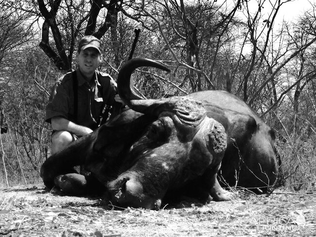 Hunting Buffalo Zimbabwe