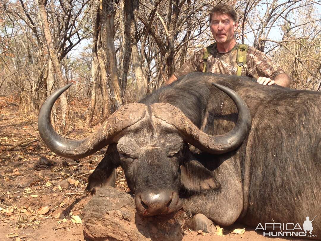 Hunting Buffalo Zimbabwe | AfricaHunting.com