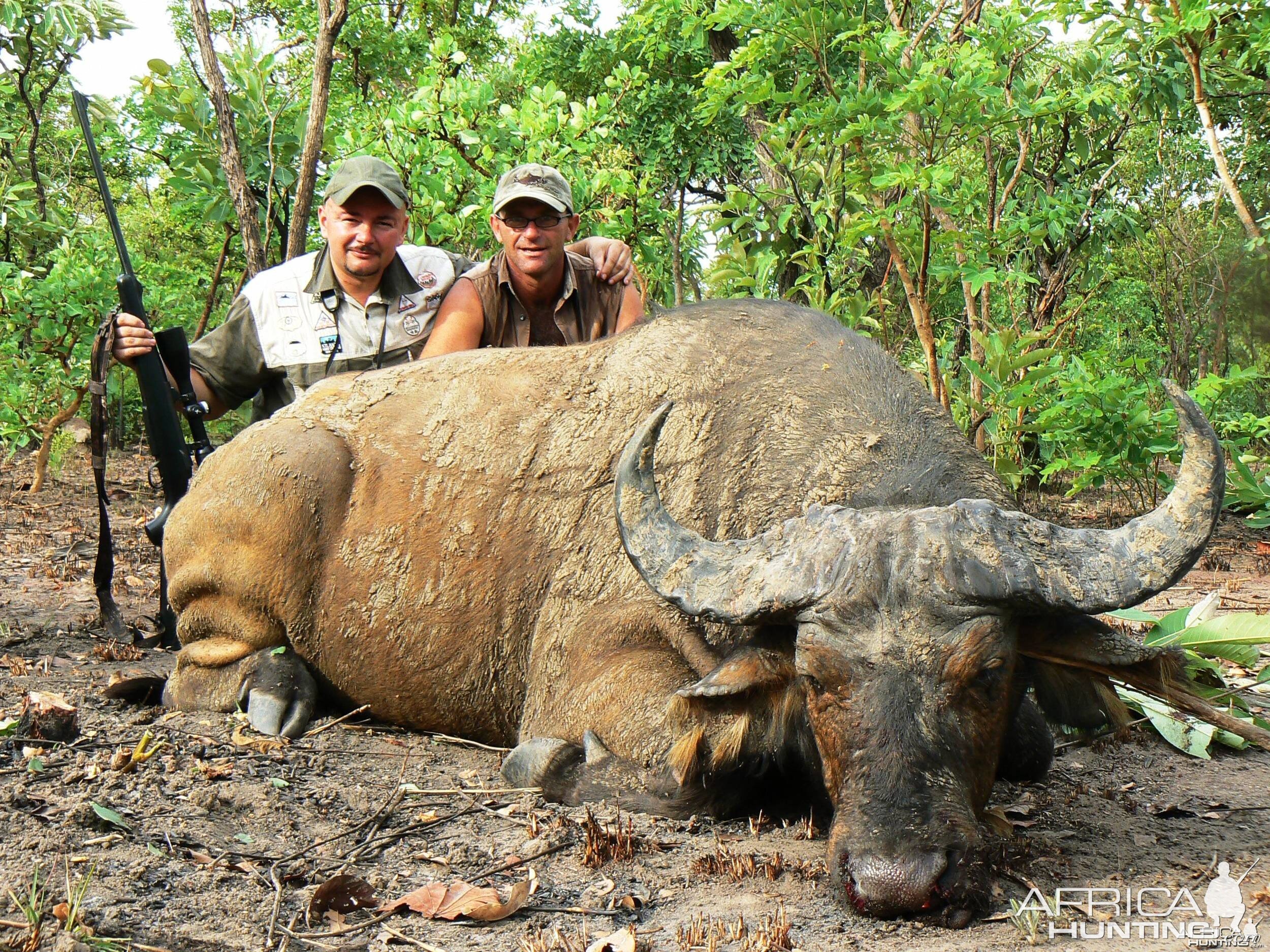 Hunting Buffalo