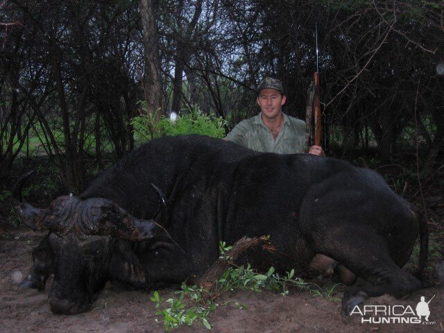 Hunting Buffalo