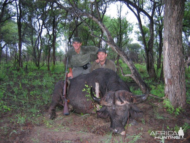 Hunting Buffalo