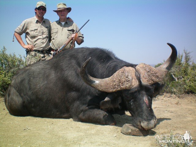 Hunting Buffalo