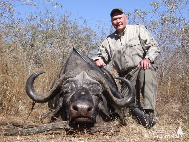 Hunting Buffalo