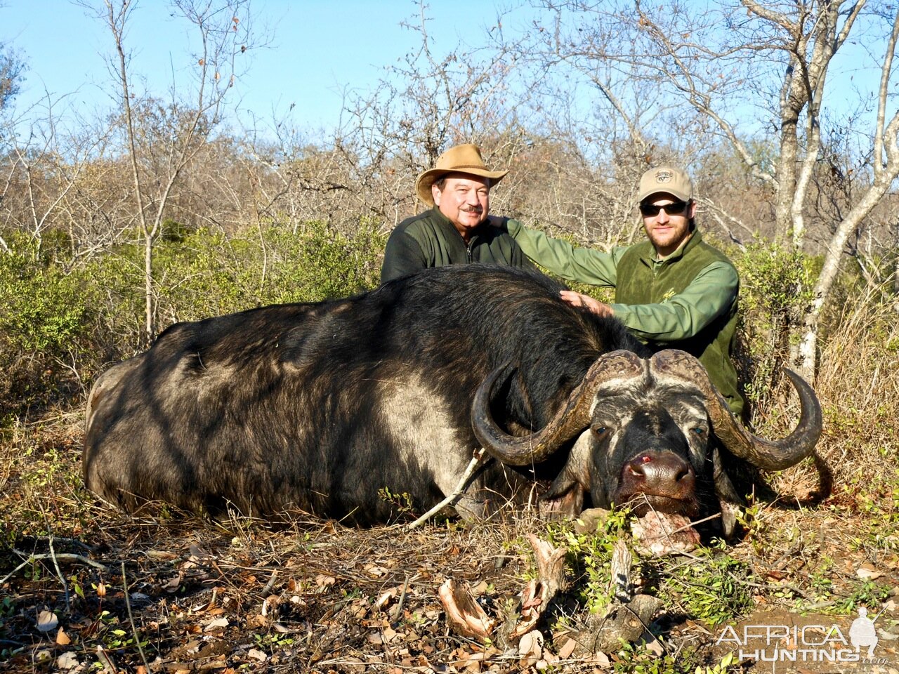 Hunting Buffalo