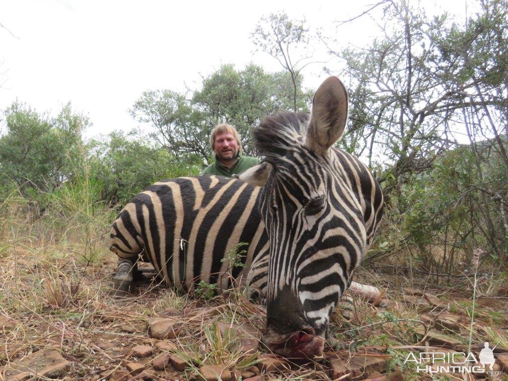 Hunting Burchell's Plain Zebra Hunt South Africa