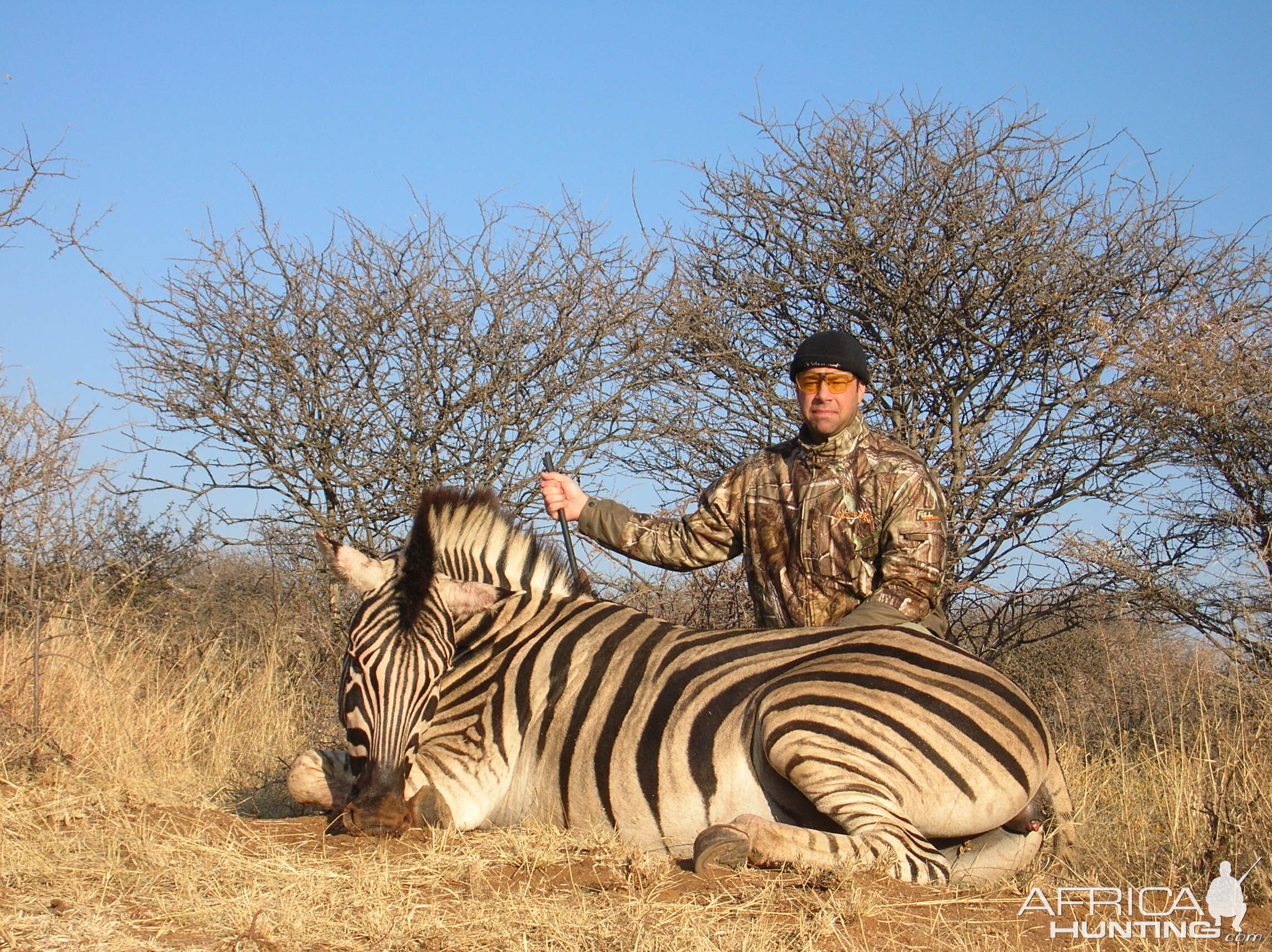 Hunting Burchell's Plain Zebra in Namibia