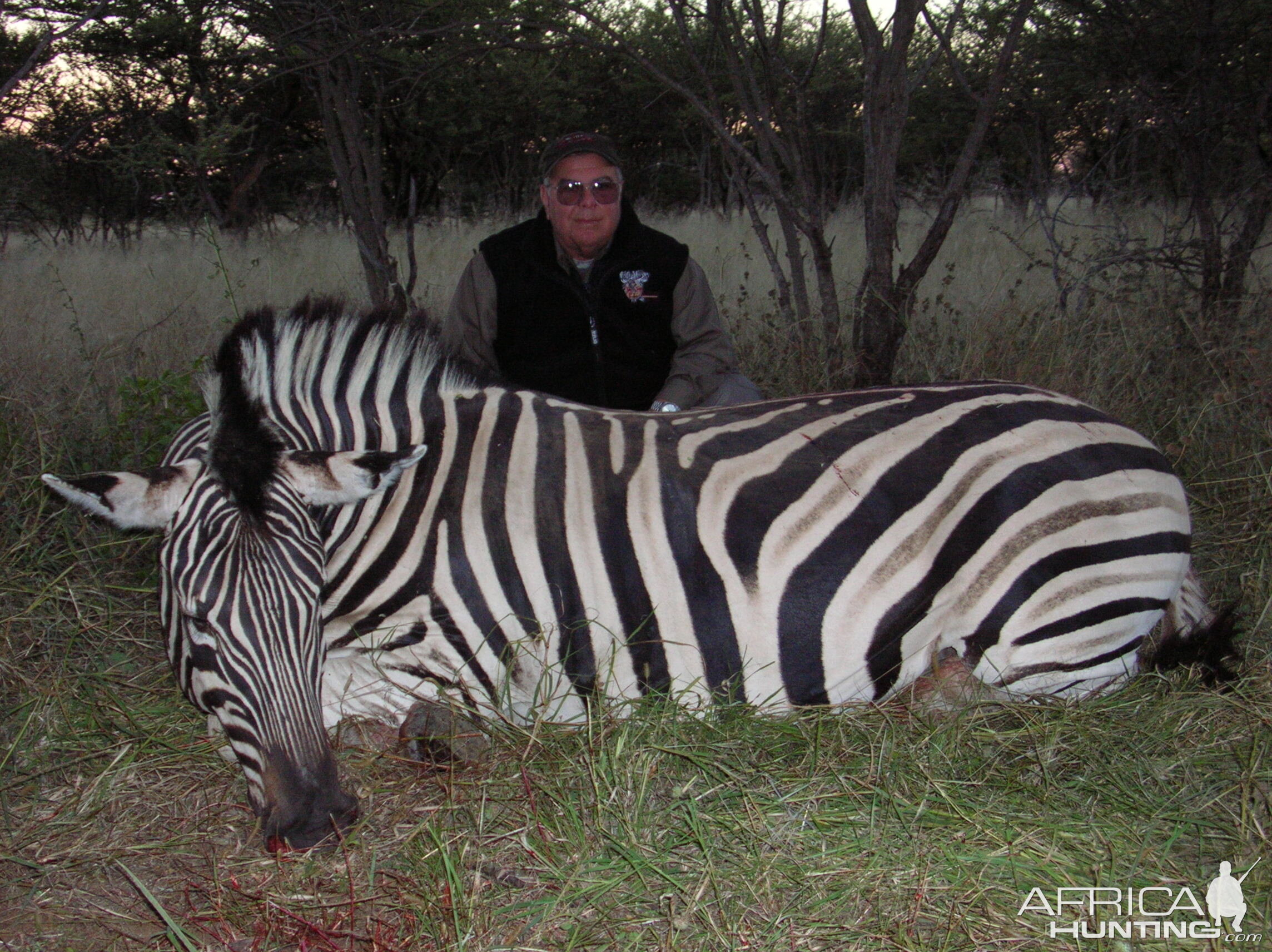 Hunting Burchell's Plain Zebra in Namibia