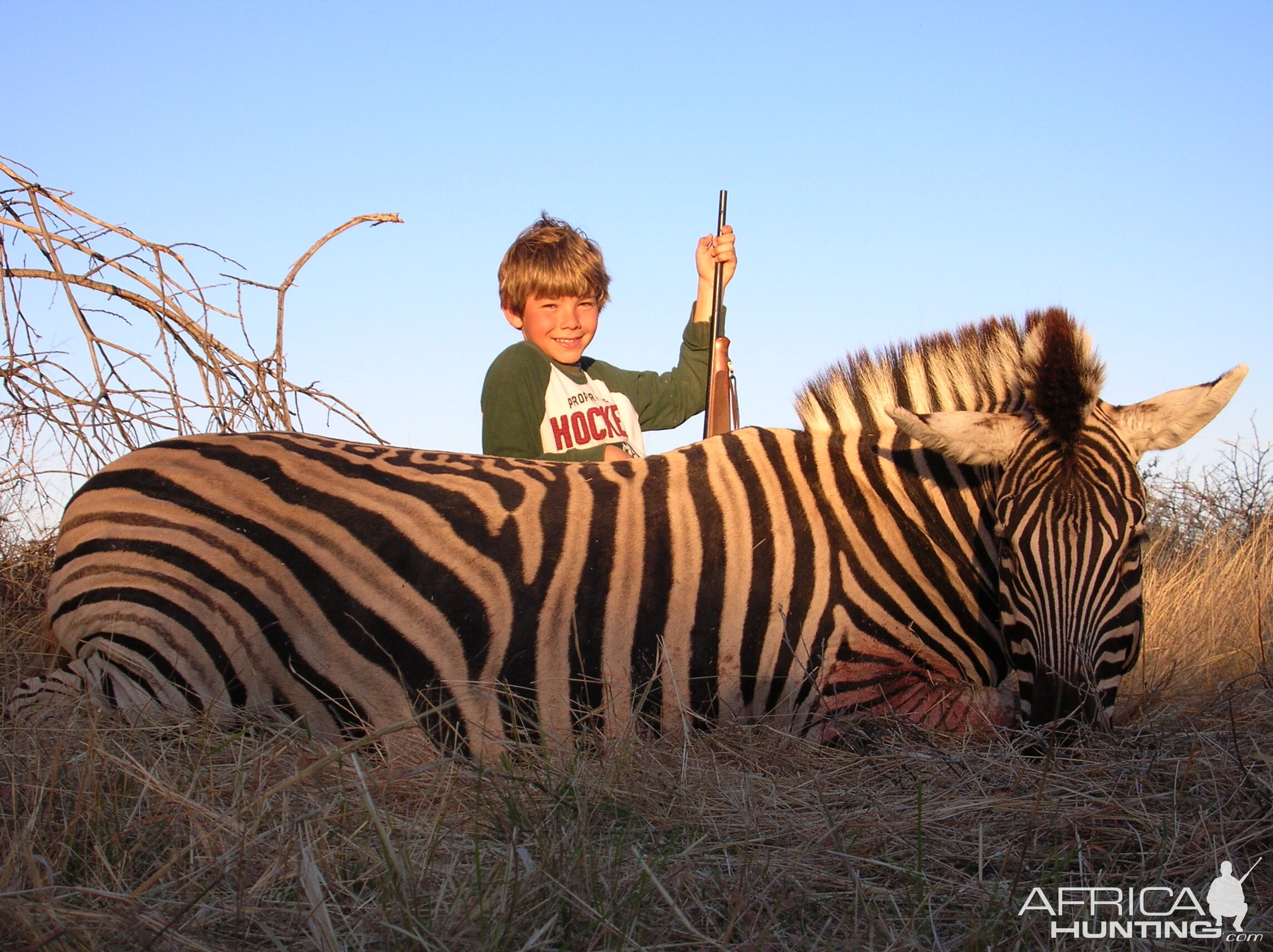 Hunting Burchell's Plain Zebra in Namibia