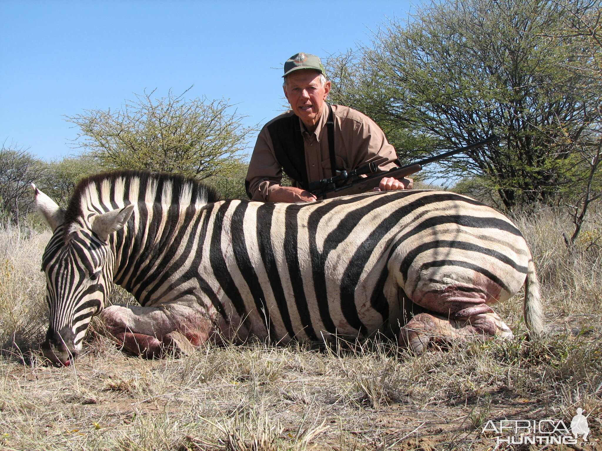 Hunting Burchell's Plain Zebra in Namibia