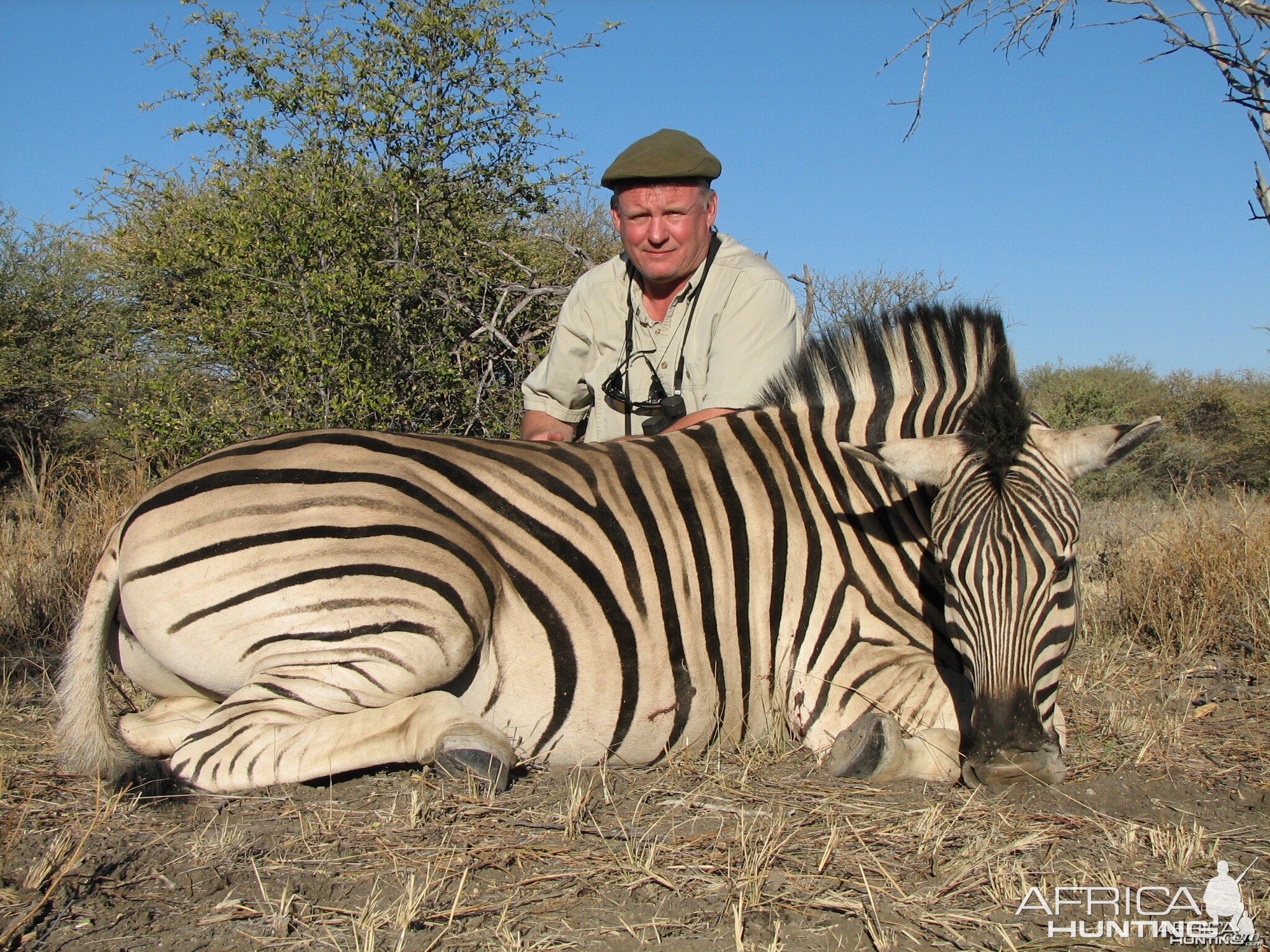 Hunting Burchell's Plain Zebra in Namibia