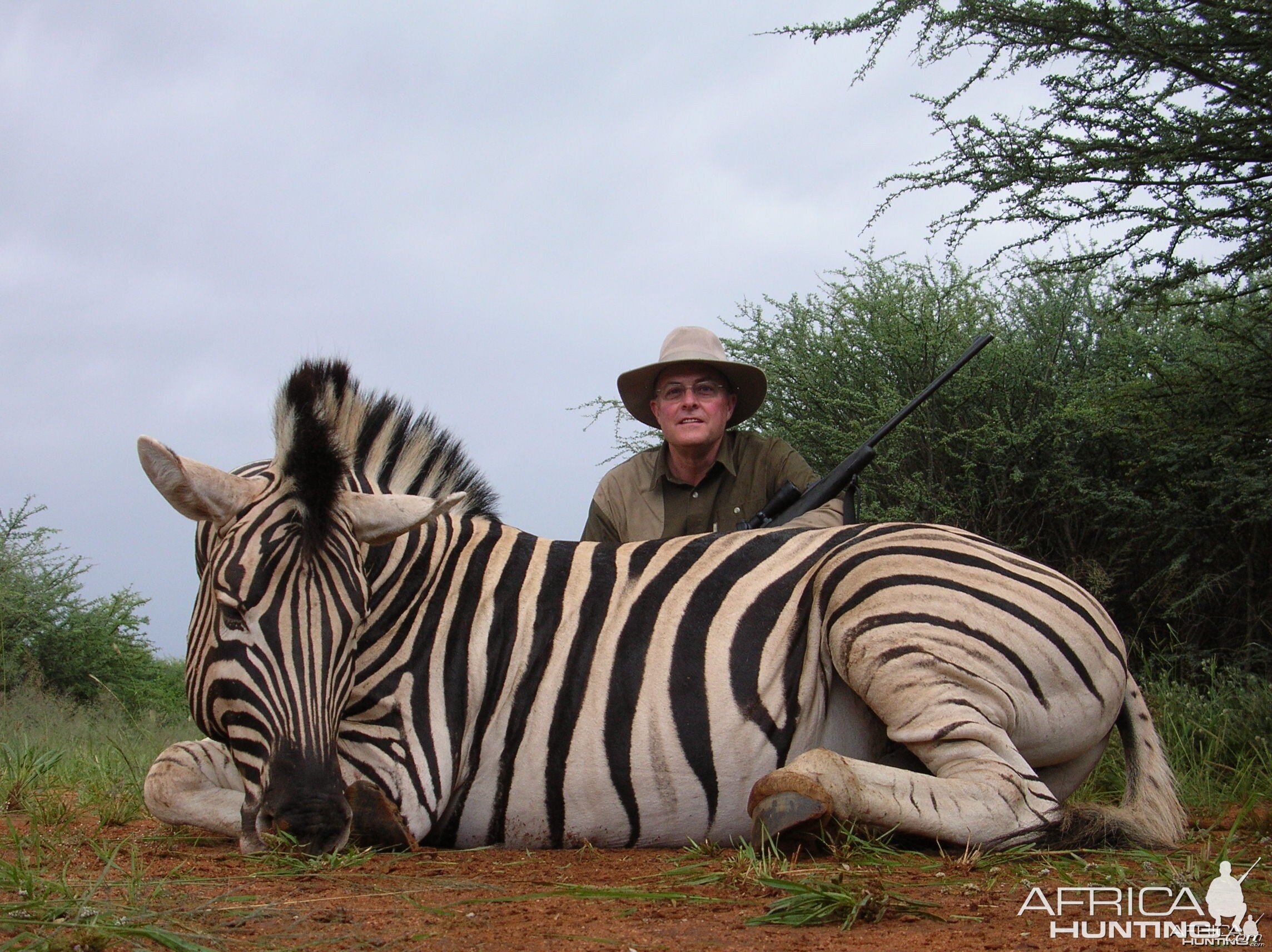 Hunting Burchell's Plain Zebra in Namibia