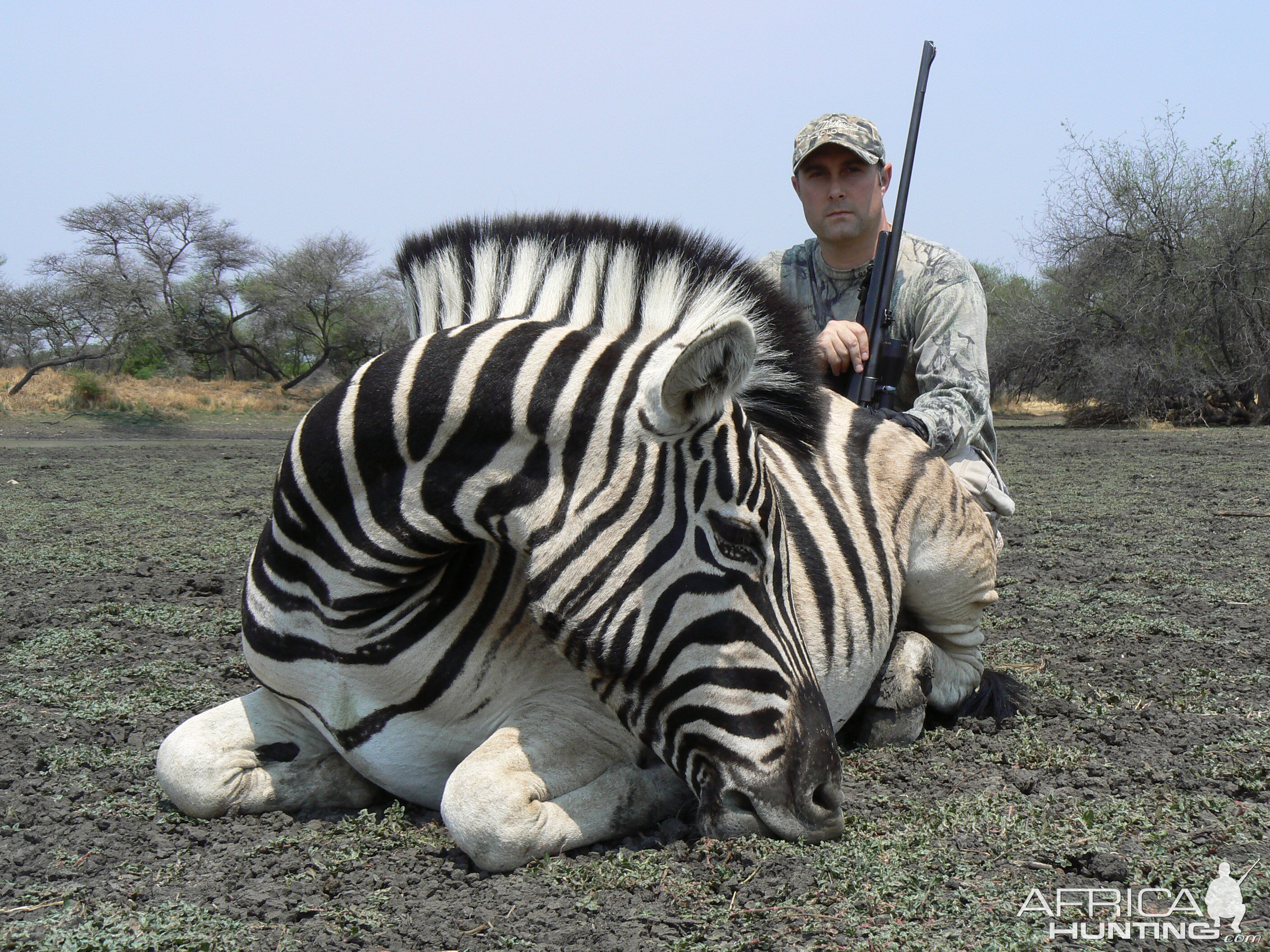 Hunting Burchell's Plain Zebra in Namibia