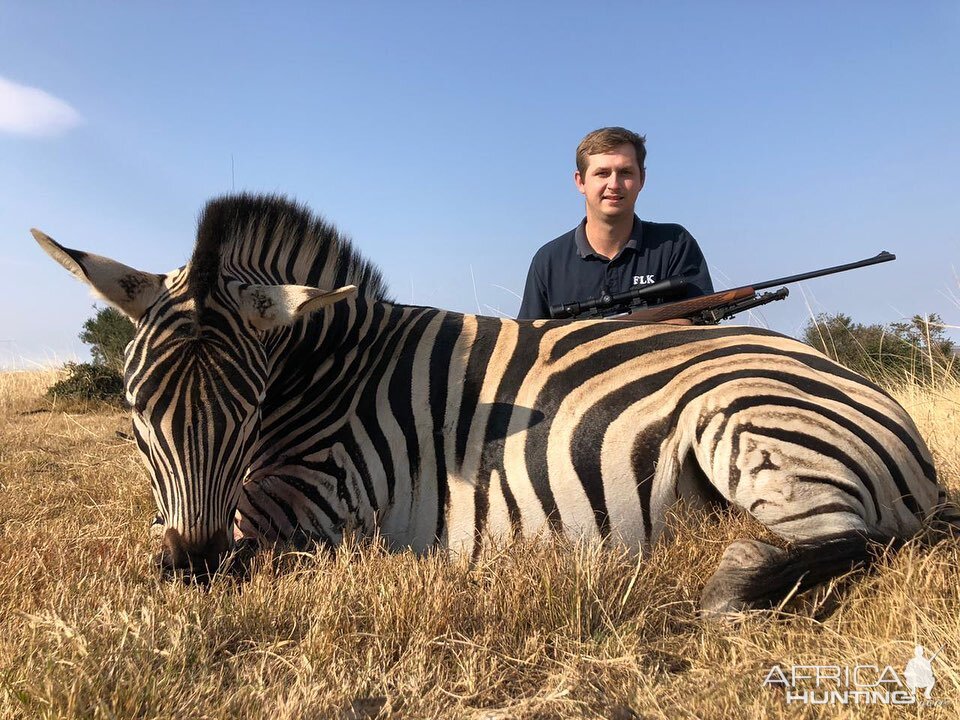 Hunting Burchell's Plain Zebra in South Africa