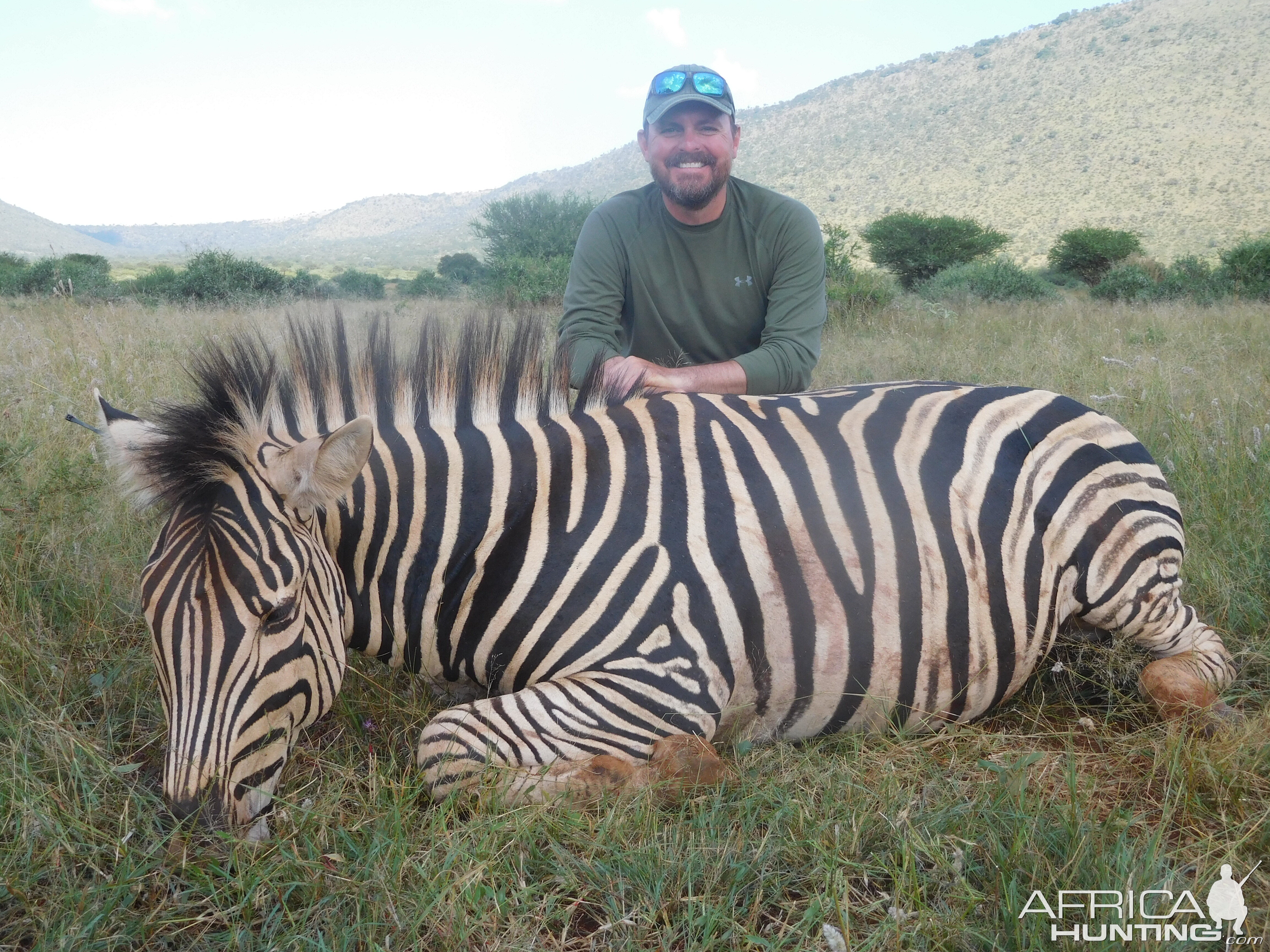 Hunting Burchell's Plain Zebra in South Africa