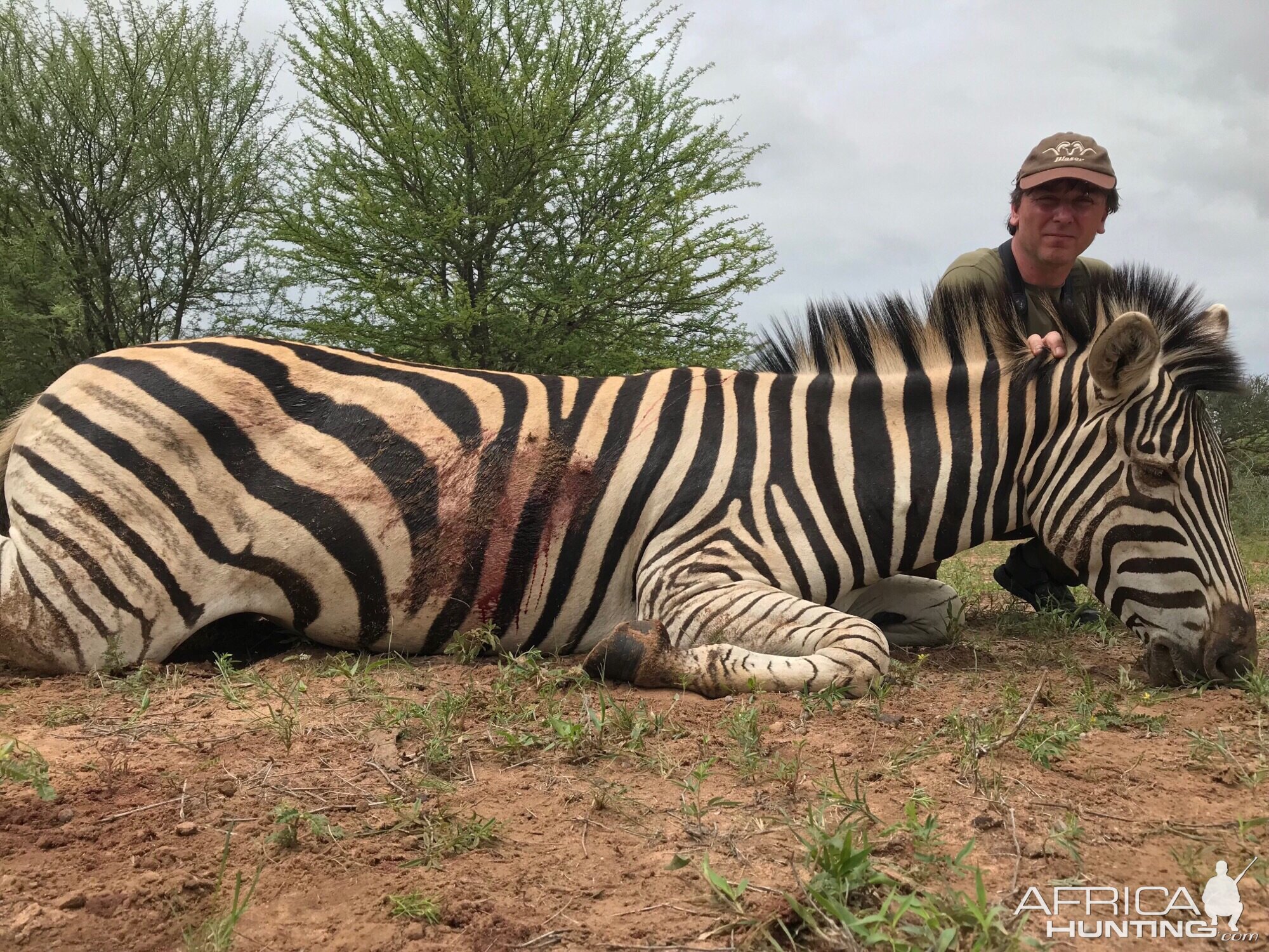 Hunting Burchell's Plain Zebra in South Africa