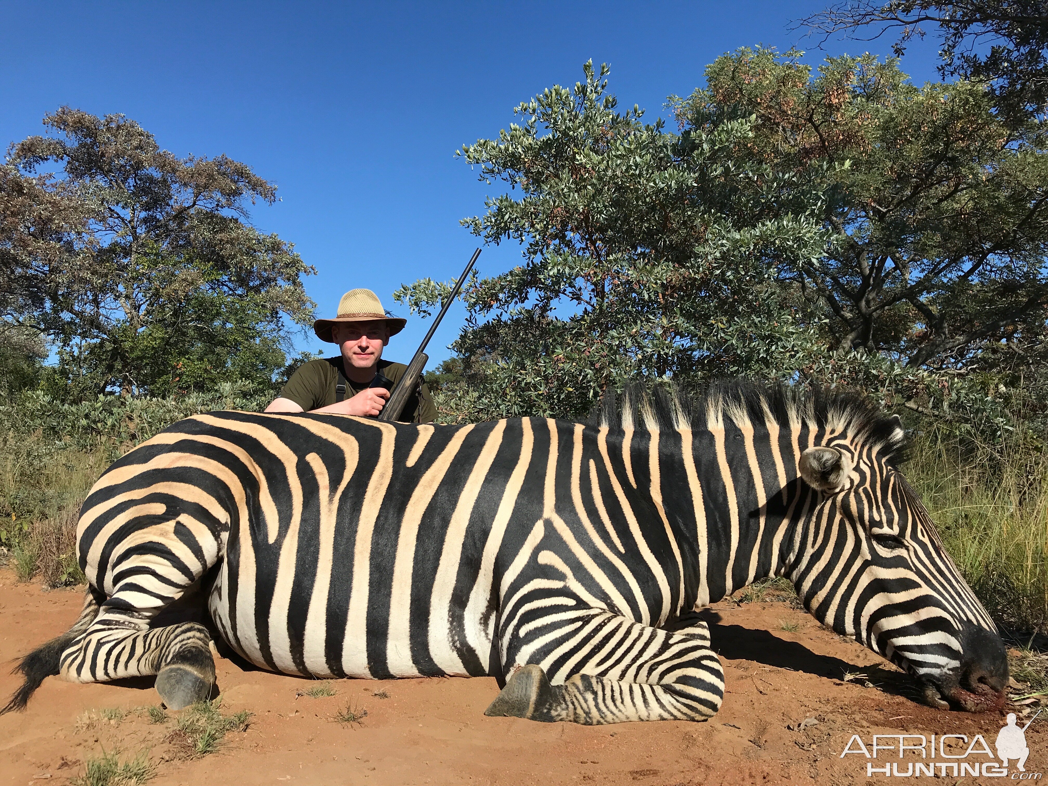 Hunting Burchell's Plain Zebra in South Africa