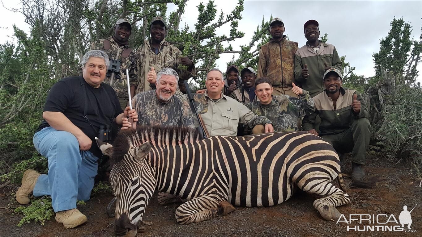 Hunting Burchell's Plain Zebra South Africa