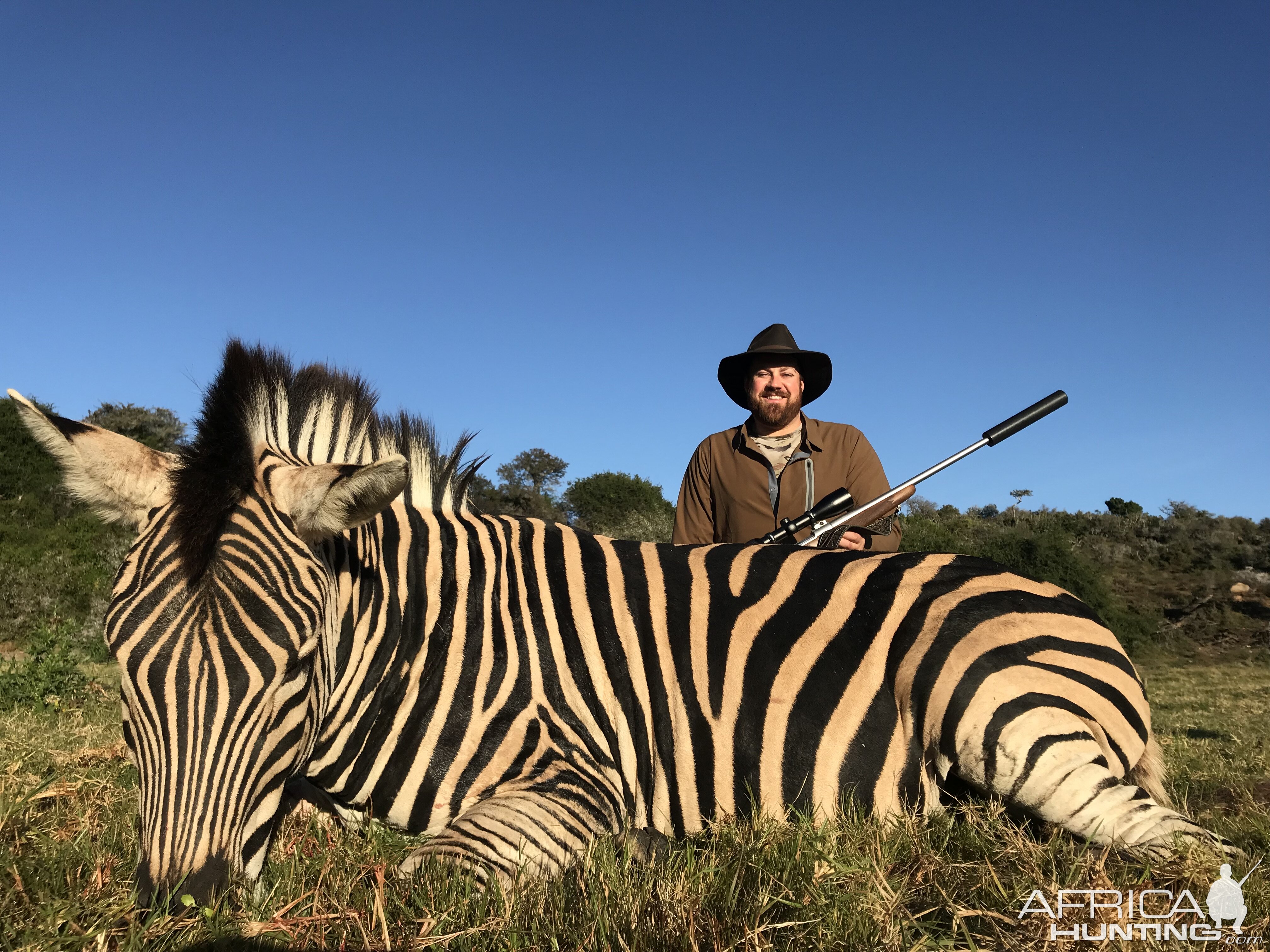 Hunting Burchell's Plain Zebra South Africa