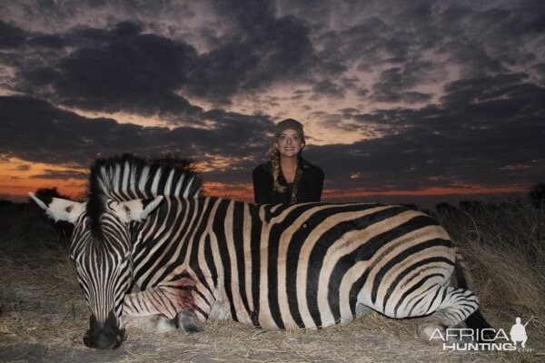 Hunting Burchell's Plain Zebra