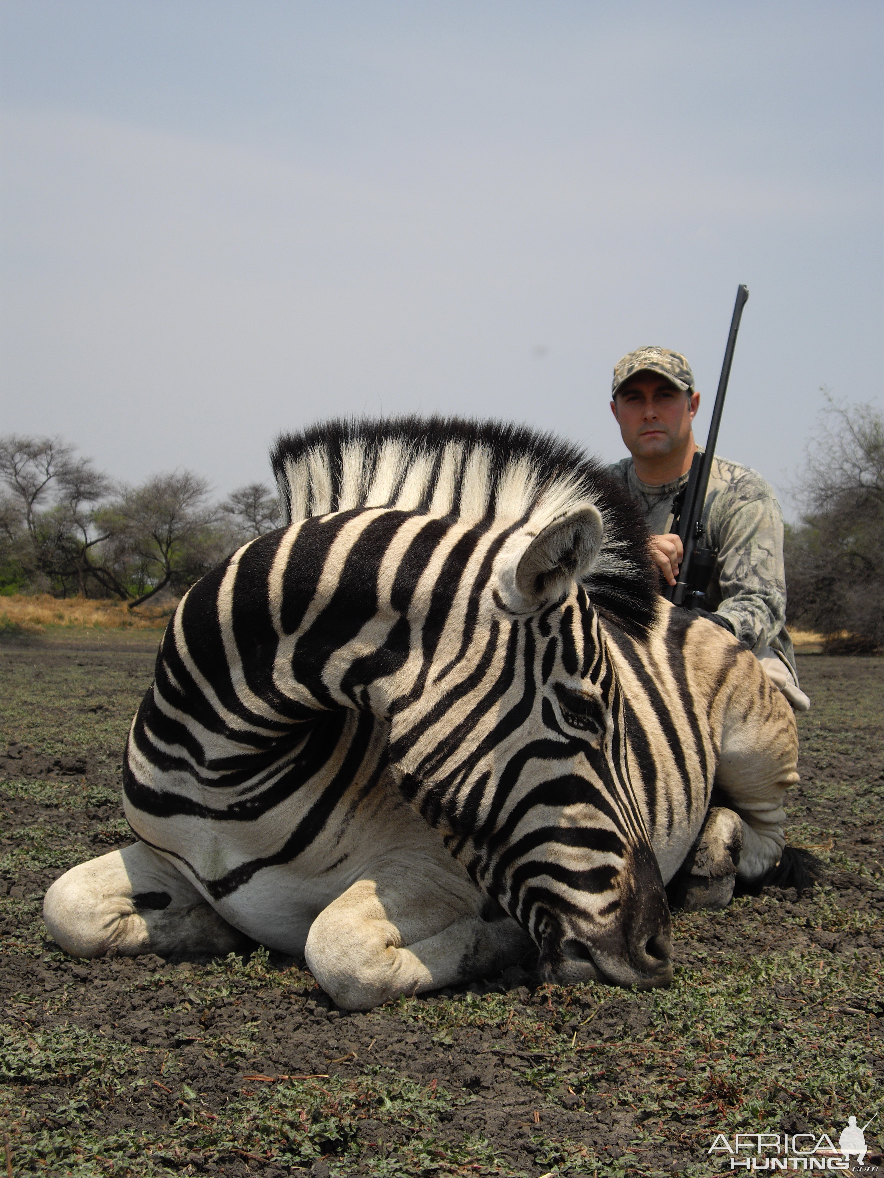 Hunting Burchell's Zebra in Namibia