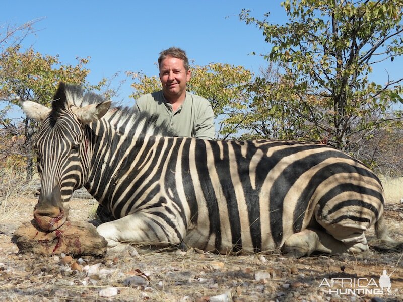 Hunting Burchell's Zebra Nambia