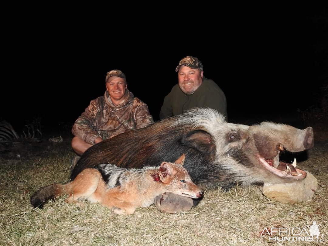 Hunting Bush Pig & Jackal South Africa