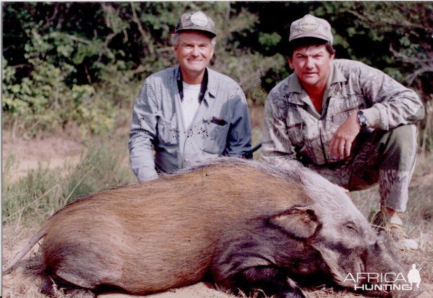 Hunting Bush Pig with Wintershoek Johnny Vivier Safaris in SA