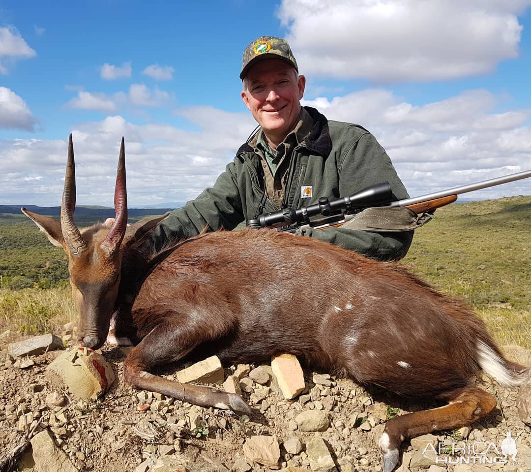 Hunting Bushbuck in South Africa