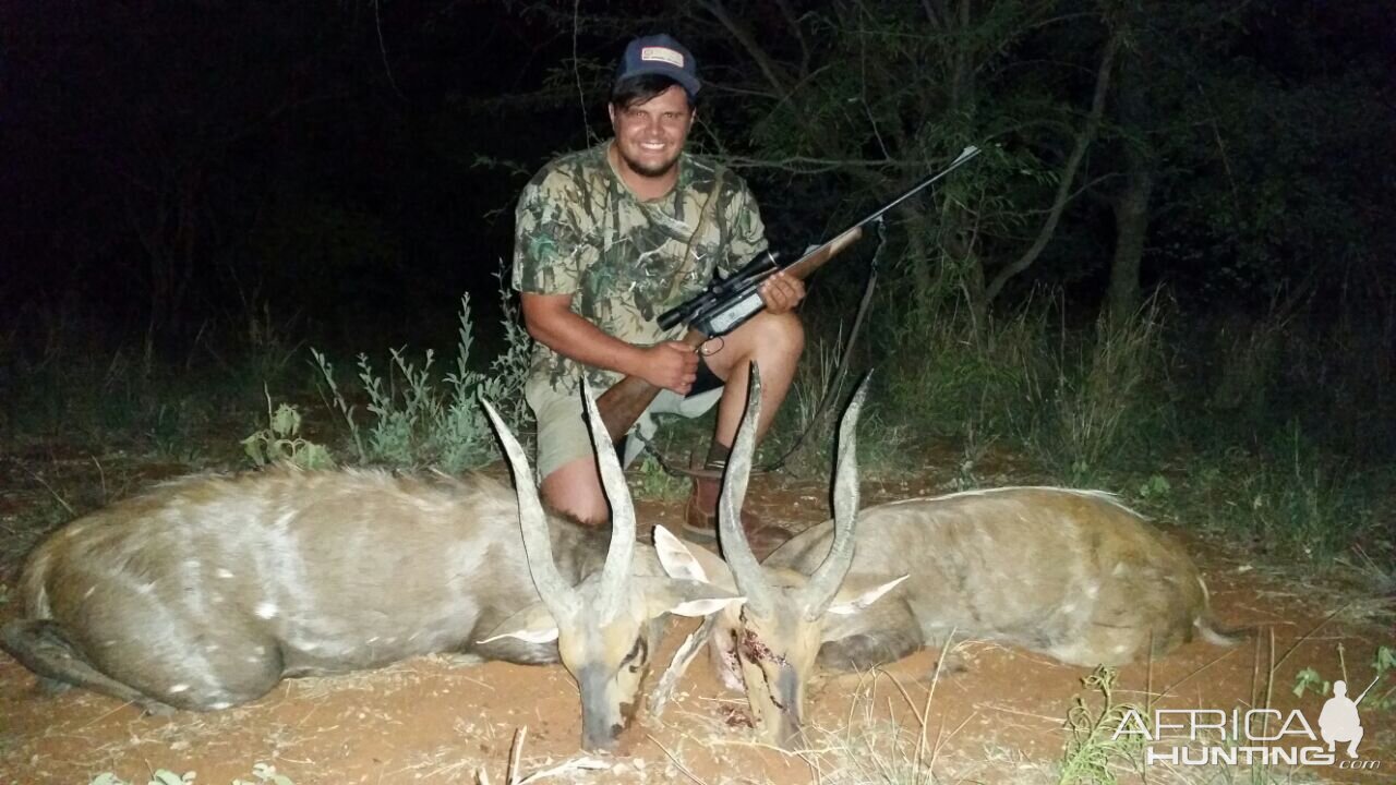 Hunting Bushbuck in South Africa