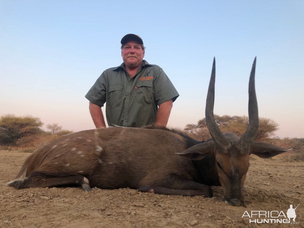 Hunting Bushbuck in South Africa