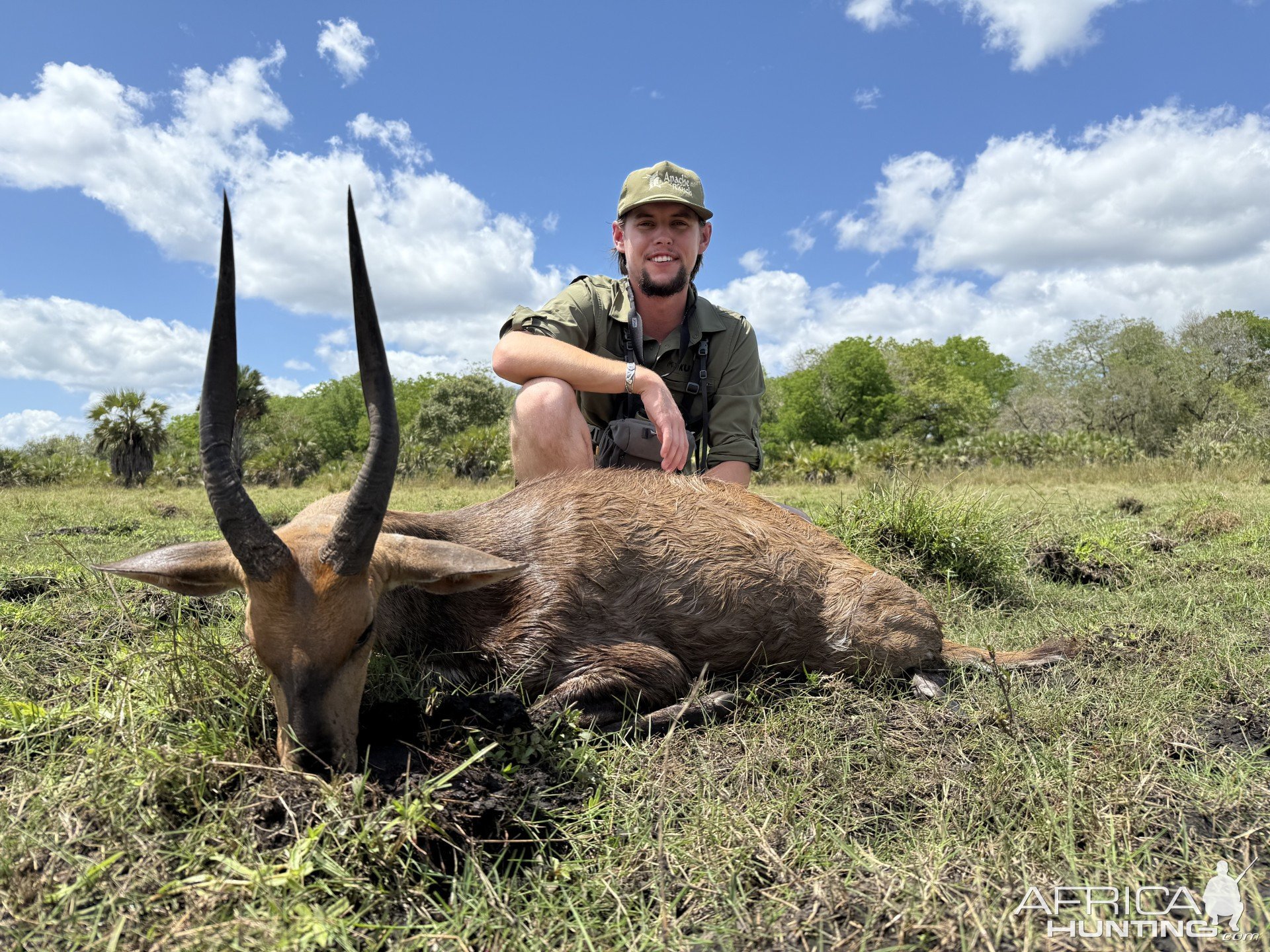 Hunting Bushbuck Mozambique