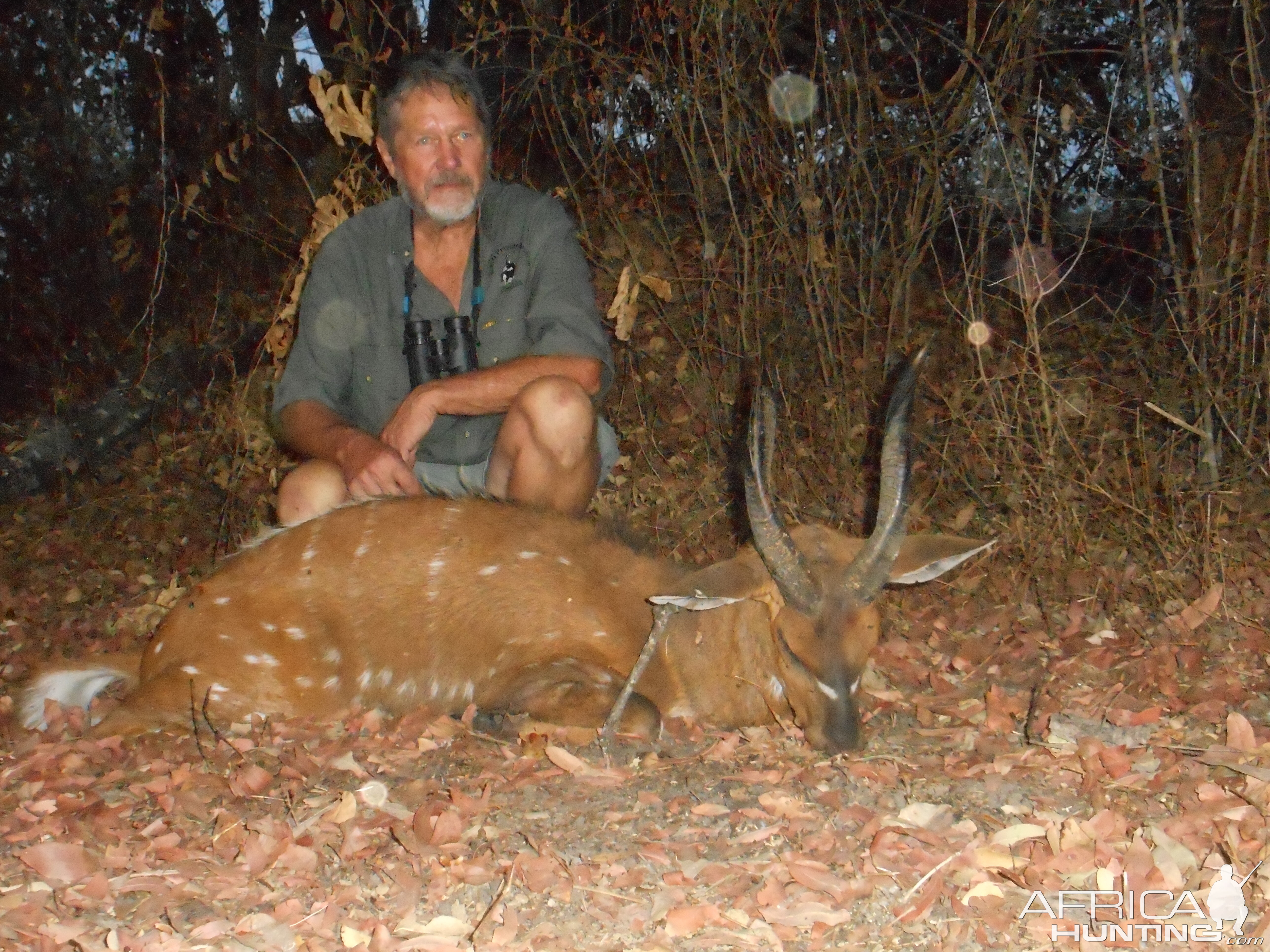 Hunting Bushbuck Oct 2016