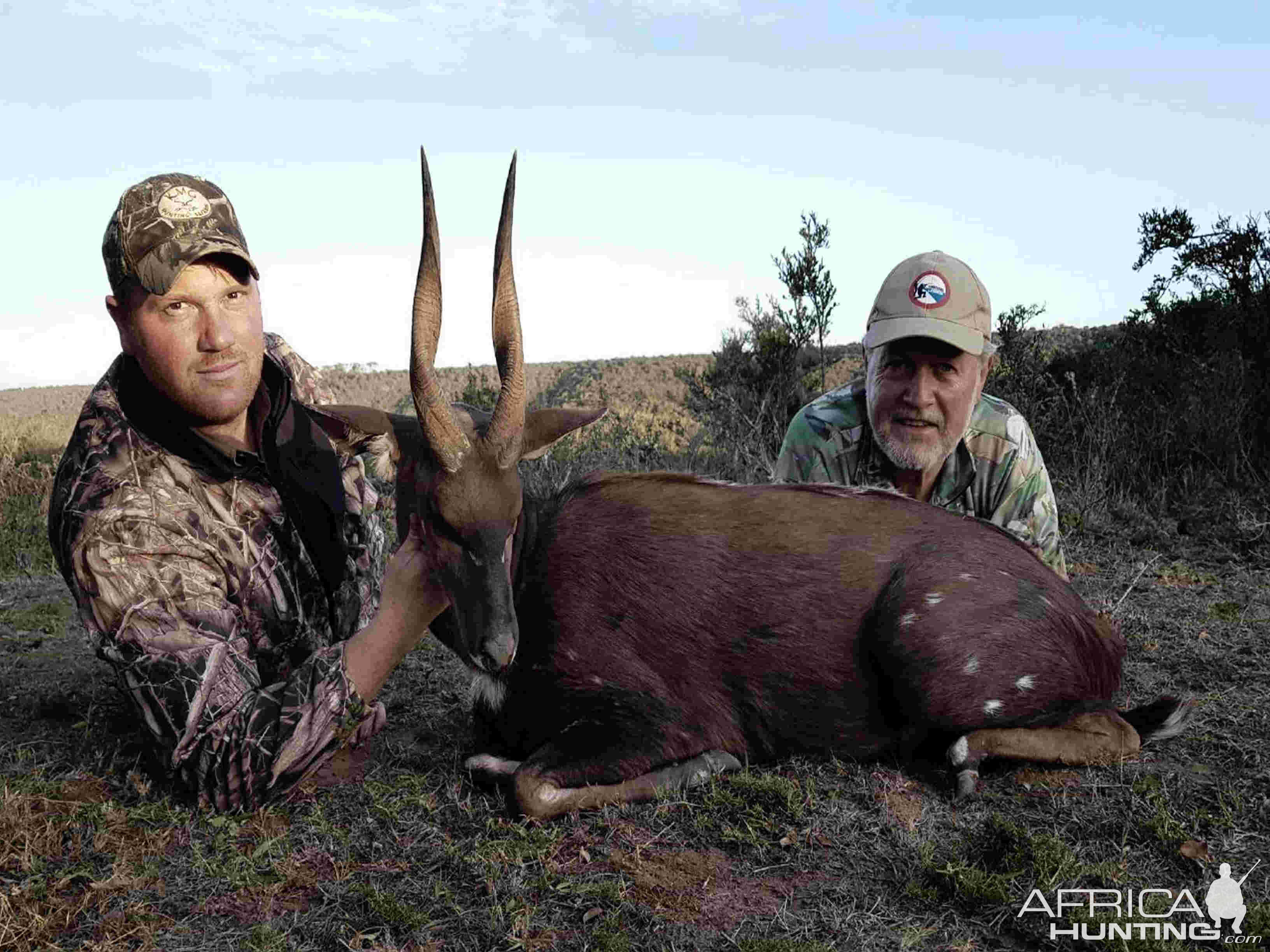 Hunting Bushbuck South Africa