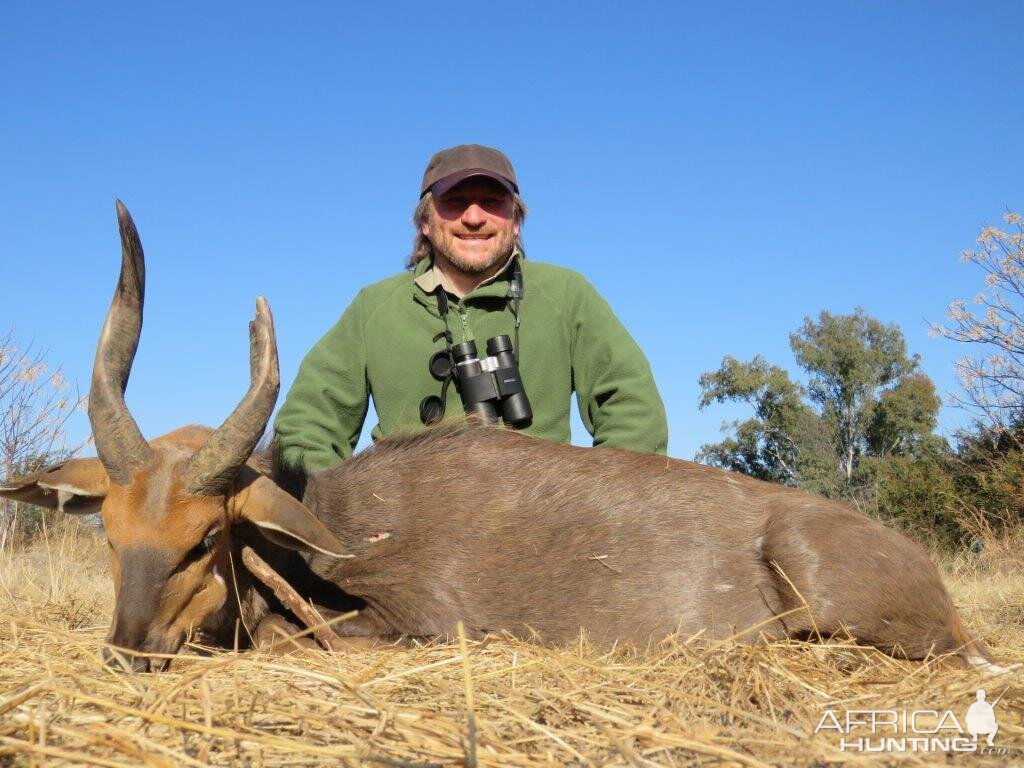 Hunting Bushbuck South Africa