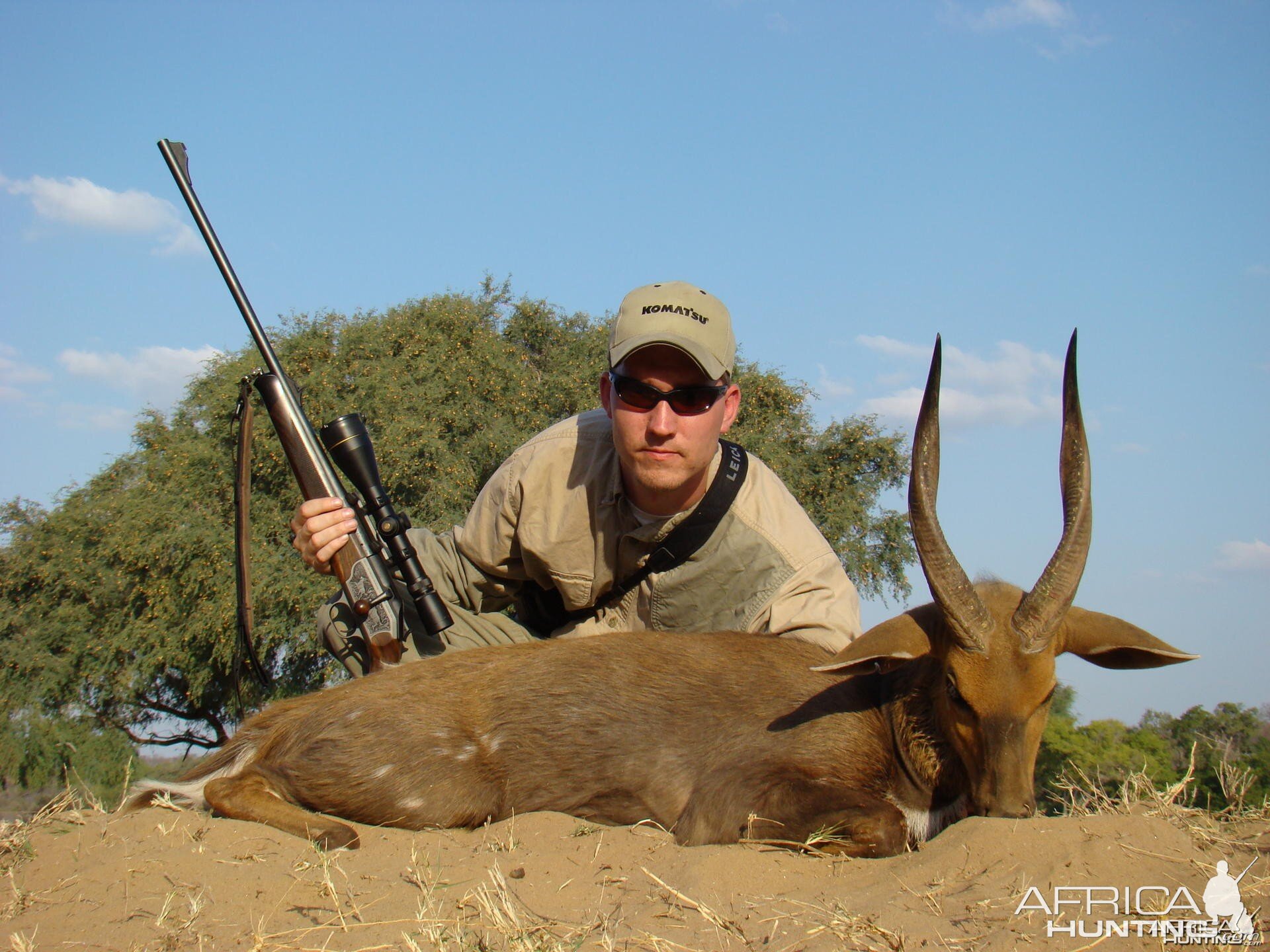 Hunting Bushbuck